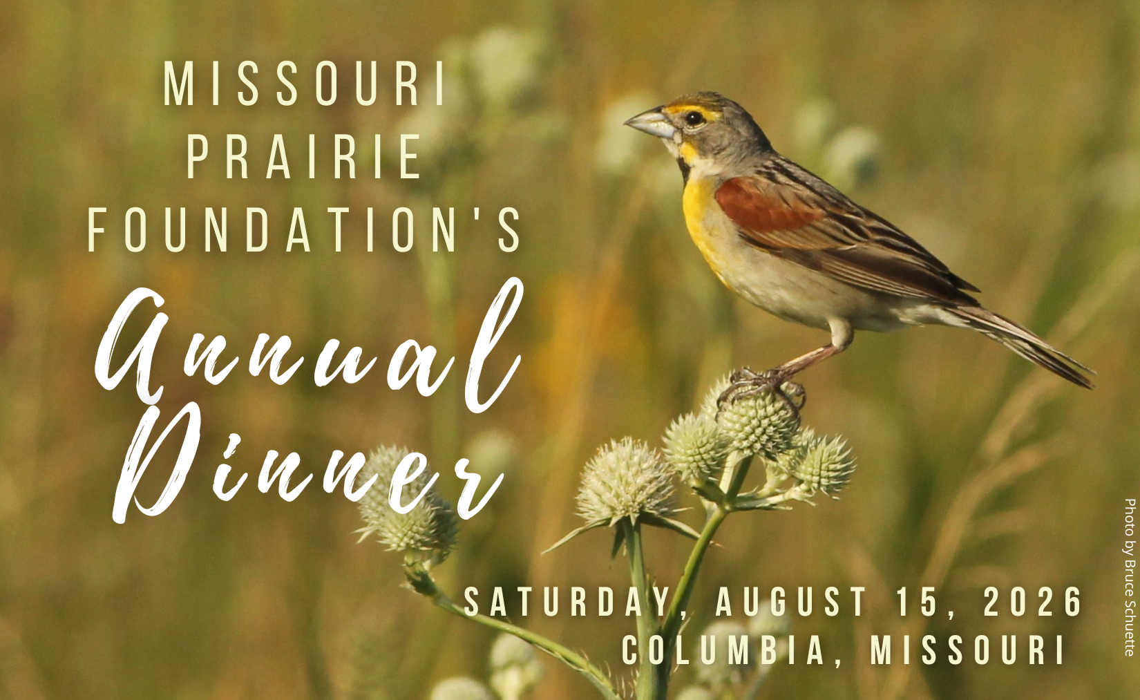 MPF Annual Dinner & Silent Auction
