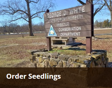 MDC - Order Seedlings