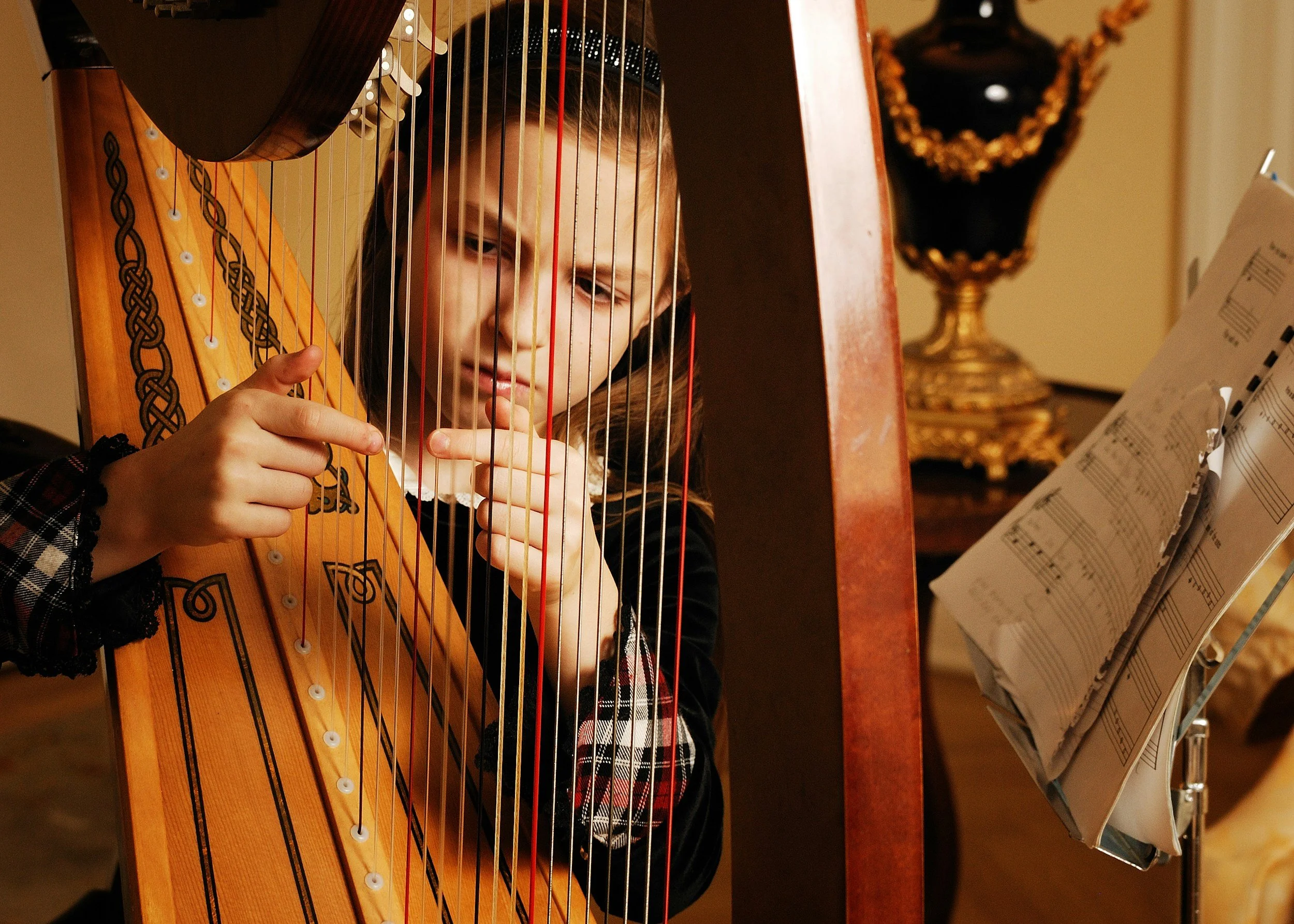 Young girl playing an acoustic harp with sheet music on a stand nearby.