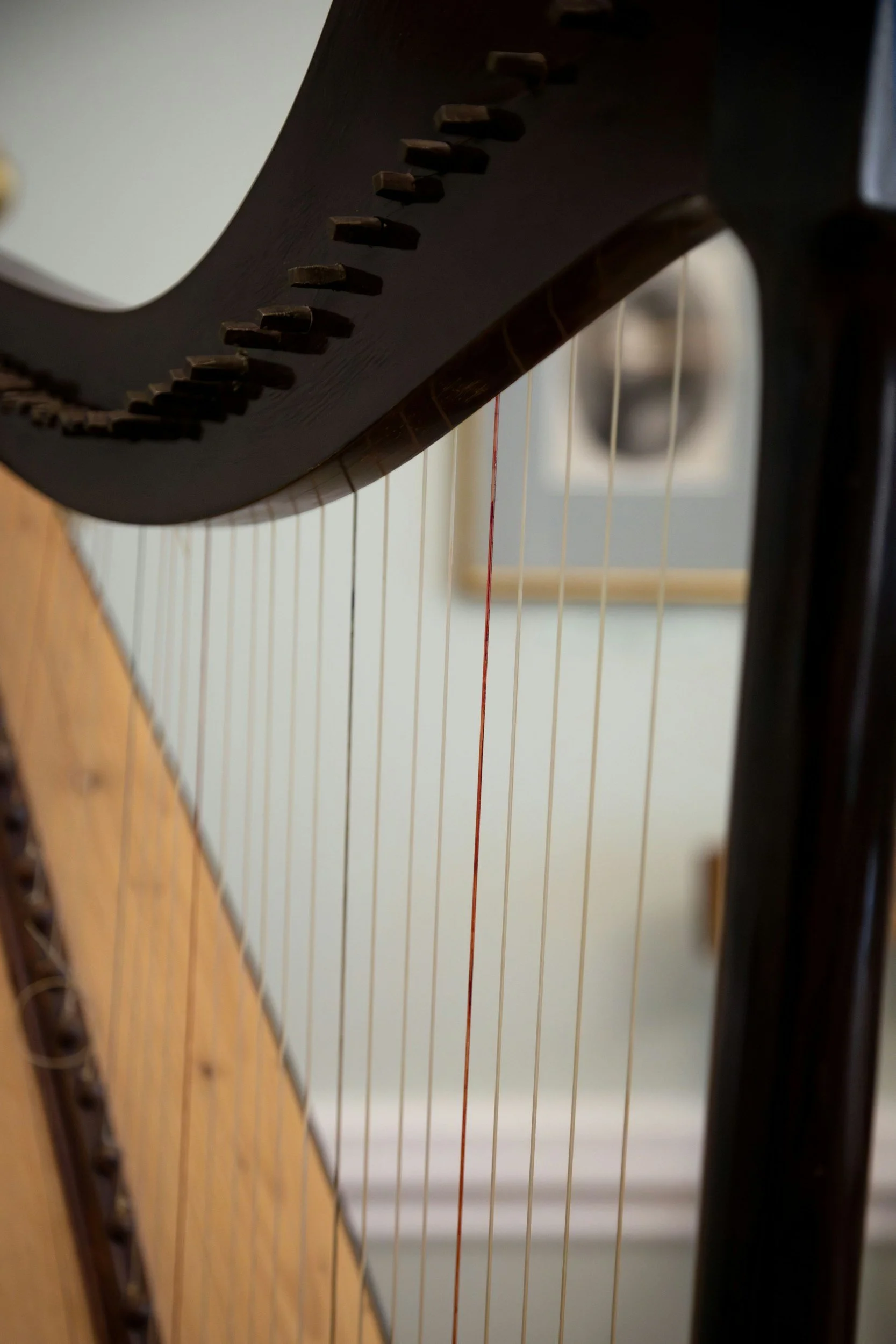 Close-up of a harp's strings and a part of its dark wooden frame.
