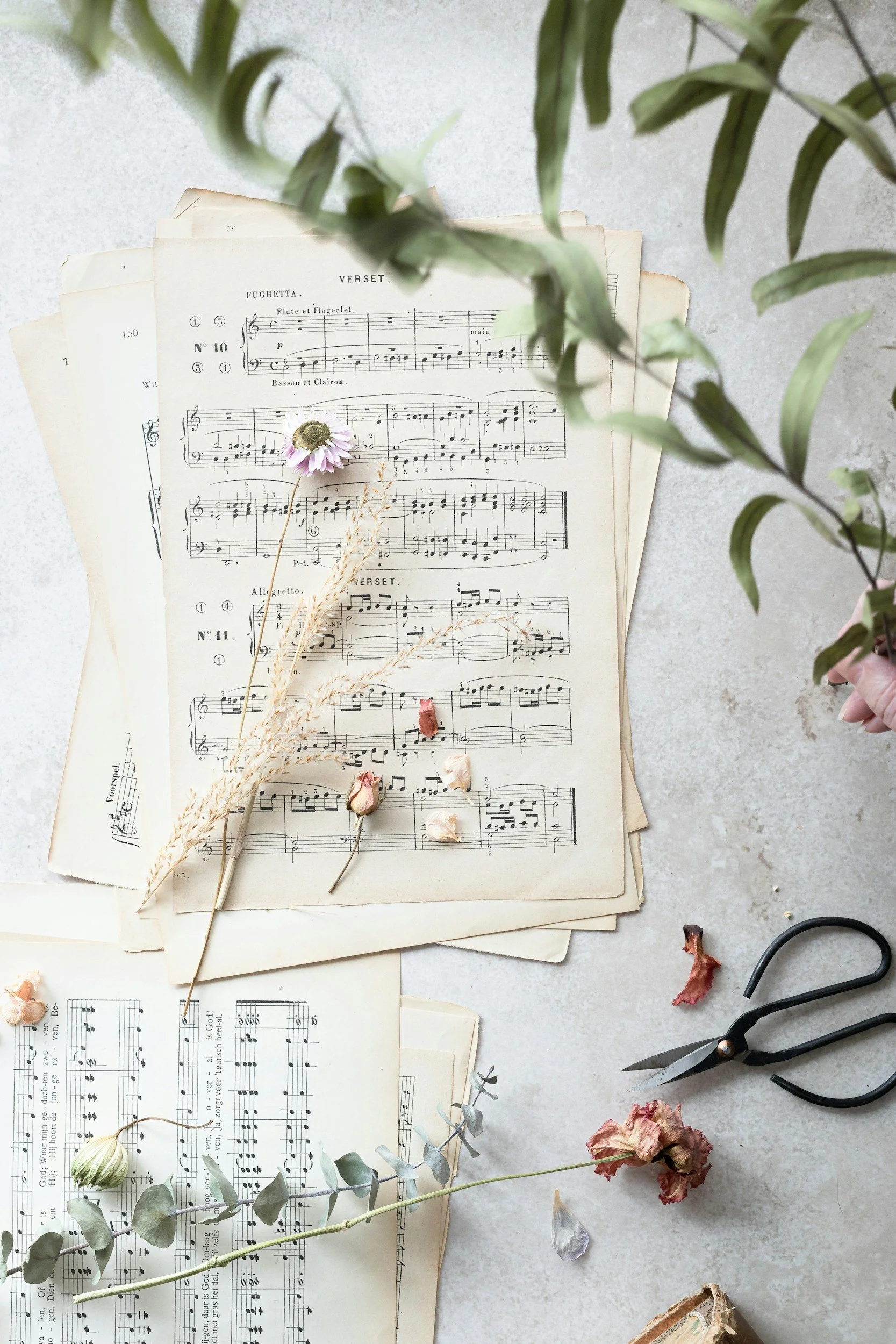 Sheet music for a classical piece with dried flowers and plant stems on top, a pair of scissors, and scattered flower petals on a light surface.
