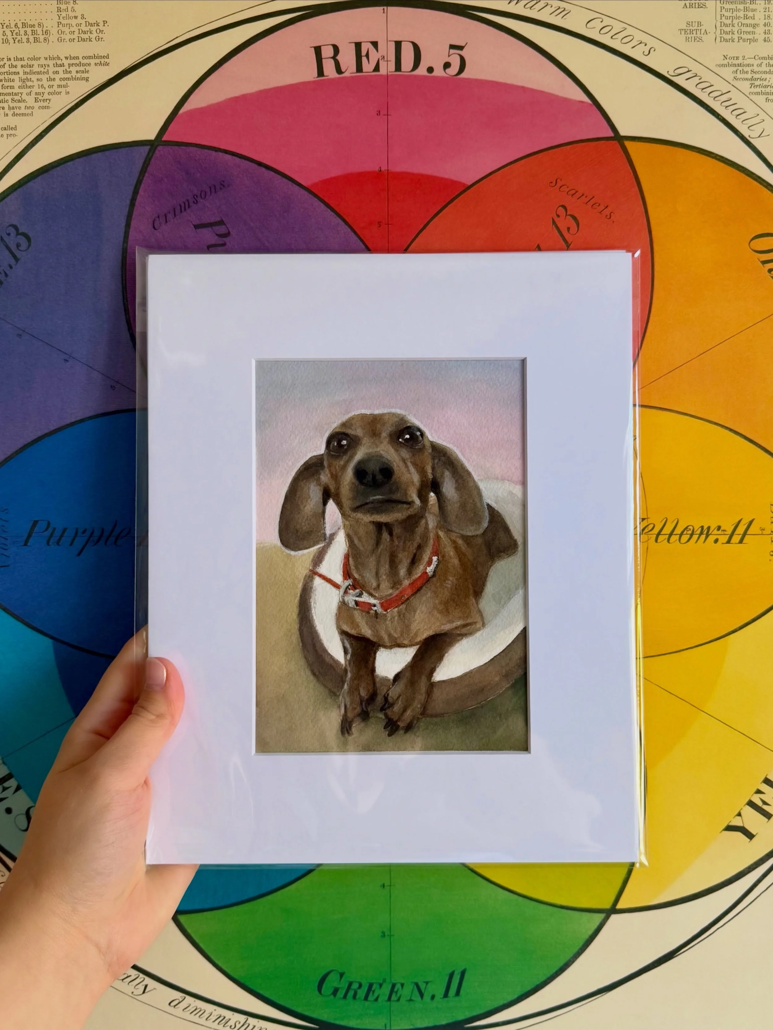 Want a pet portrait? Check my website soon for more information about art commissions and how to commission me! 

Can&rsquo;t wait? Look at my Etsy shop to order some original art!

#artcommissions #artcommission #dogart #petportraiture #petportraits
