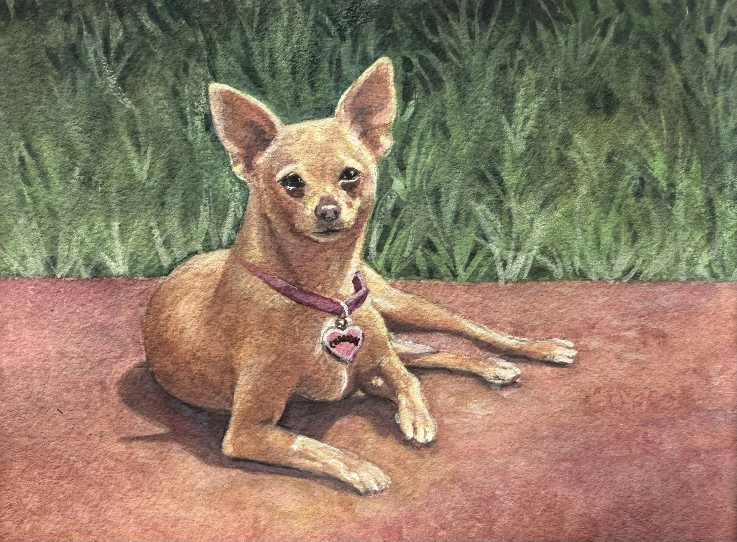 A small brown dog with big ears and dark eyes lies on a reddish-brown surface with green grass in the background. The dog is wearing a purple collar with a heart-shaped tag.