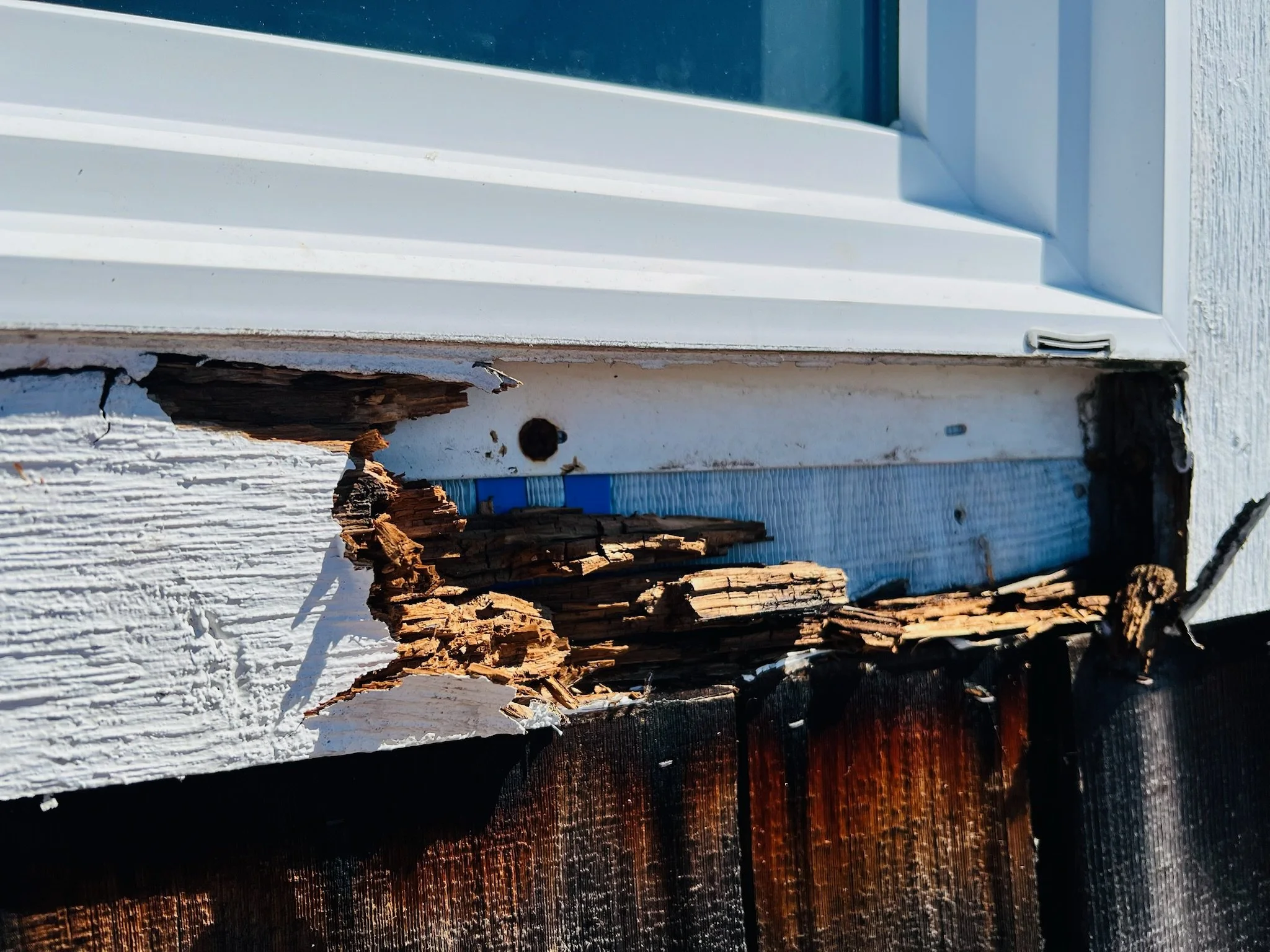 ROT REMEDIATION