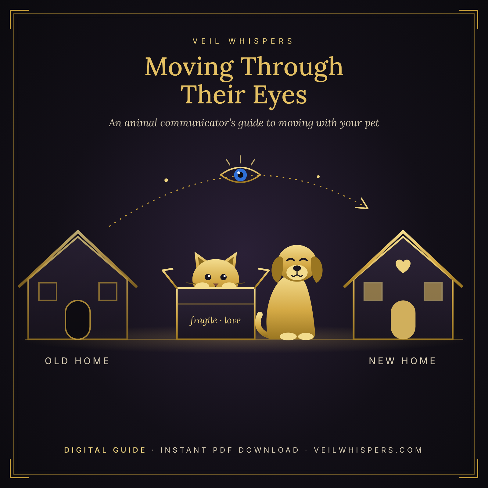 Veil+Whispers+-+Moving+Through+Their+Eyes+Product+Image.png