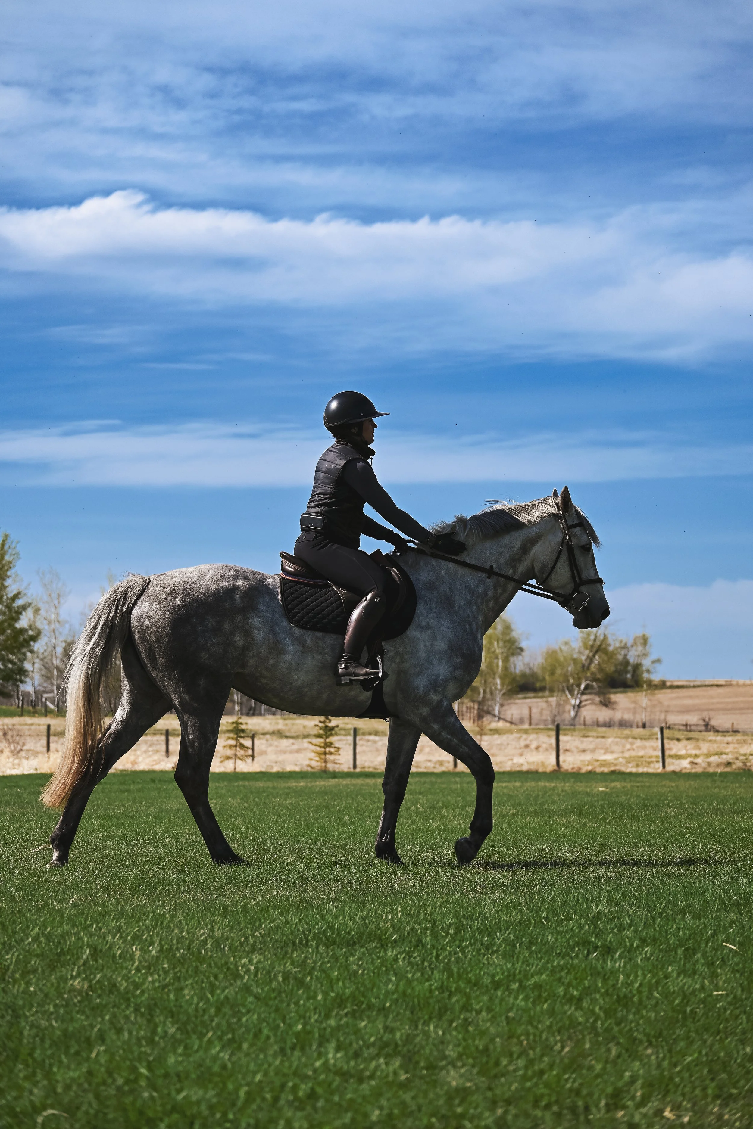 A person wearing black riding gear and helmet riding a gray horse on a grassy field with trees, a fence, and blue sky with clouds in the background.