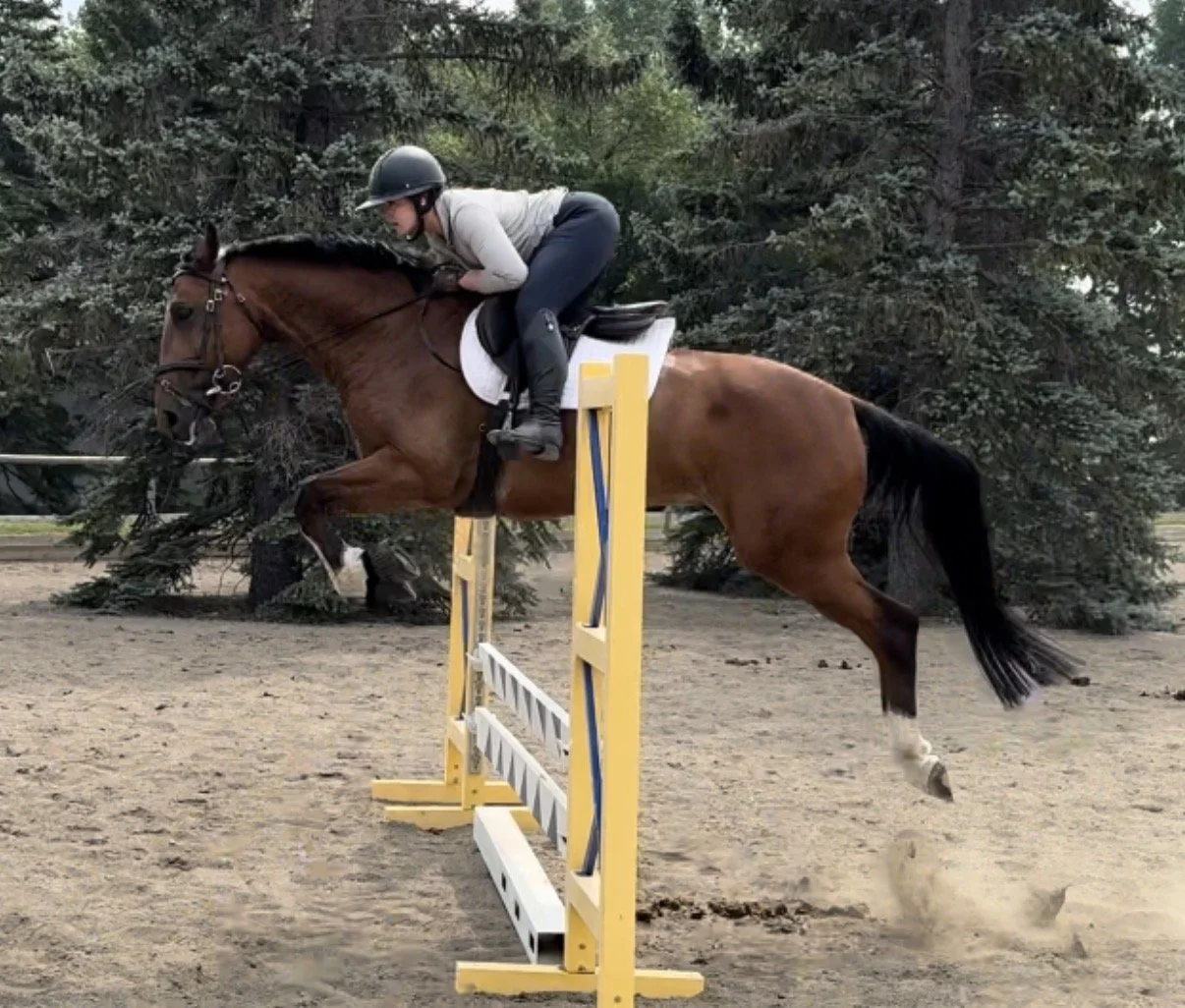 A person riding a horse over a jump in an outdoor equestrian setting.