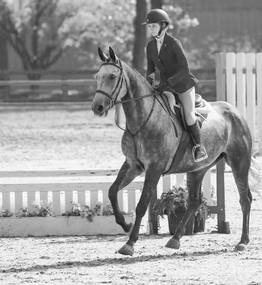 A young female equestrian riding a horse on a horse-riding arena.
