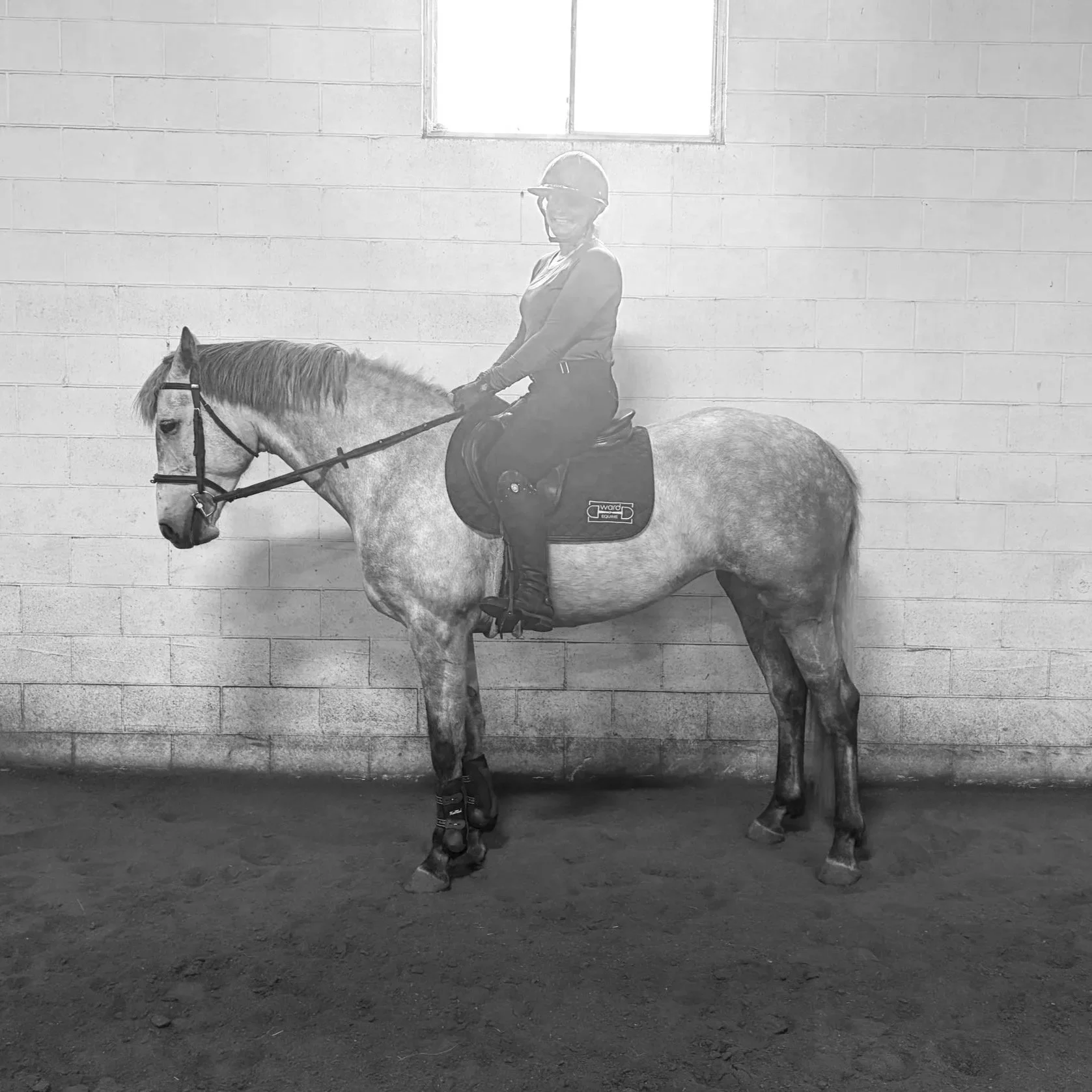 A woman wearing riding gear sitting on a horse inside an indoor riding arena, with a brick wall and a window in the background.
