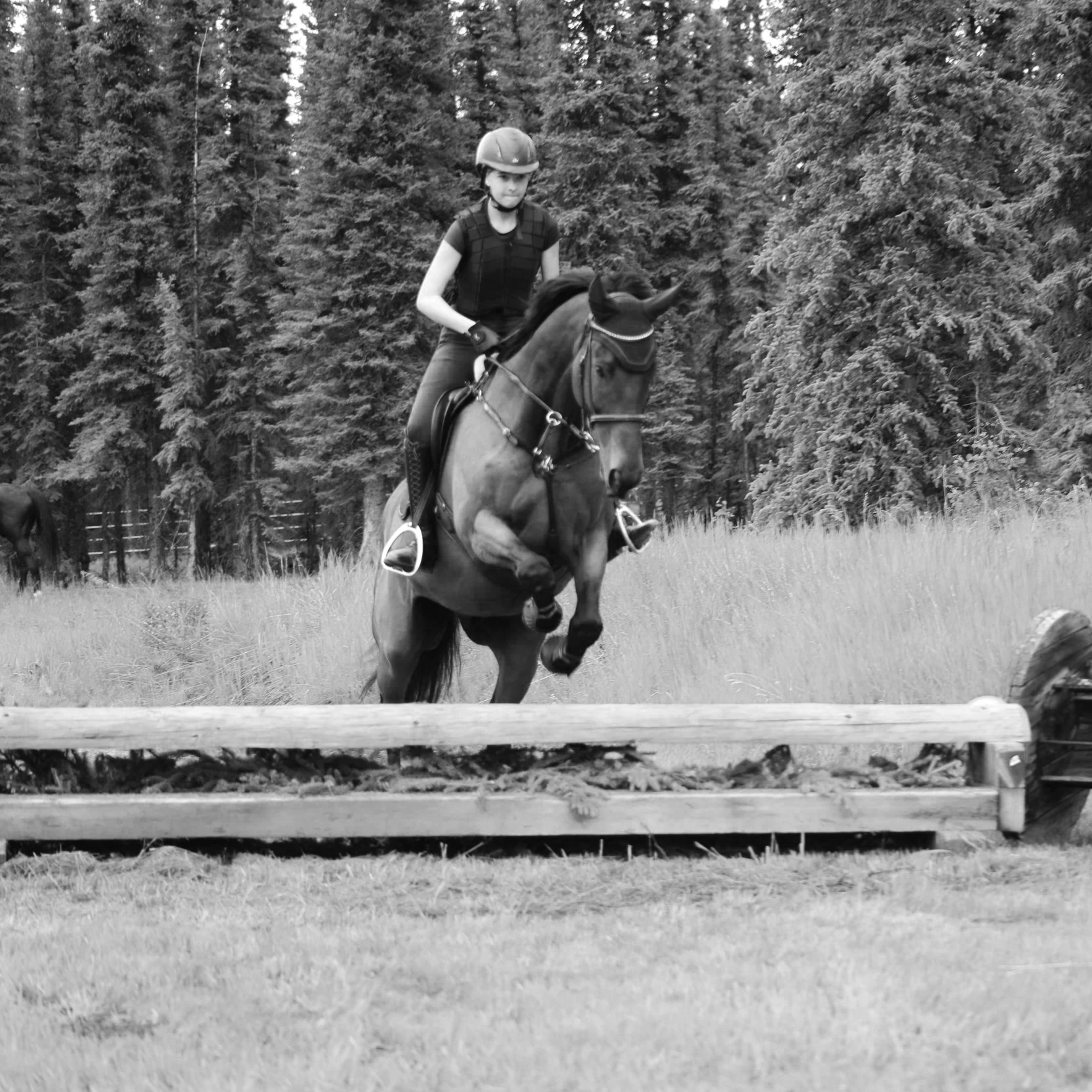 A person riding a horse on a grassy field surrounded by trees, wearing a helmet and riding gear, captured in black and white.