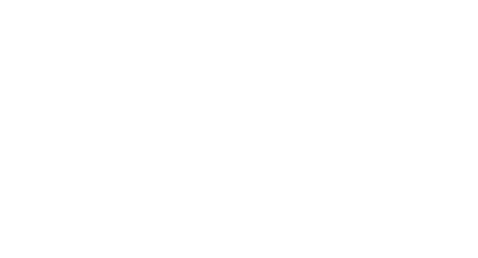 Mirror Image