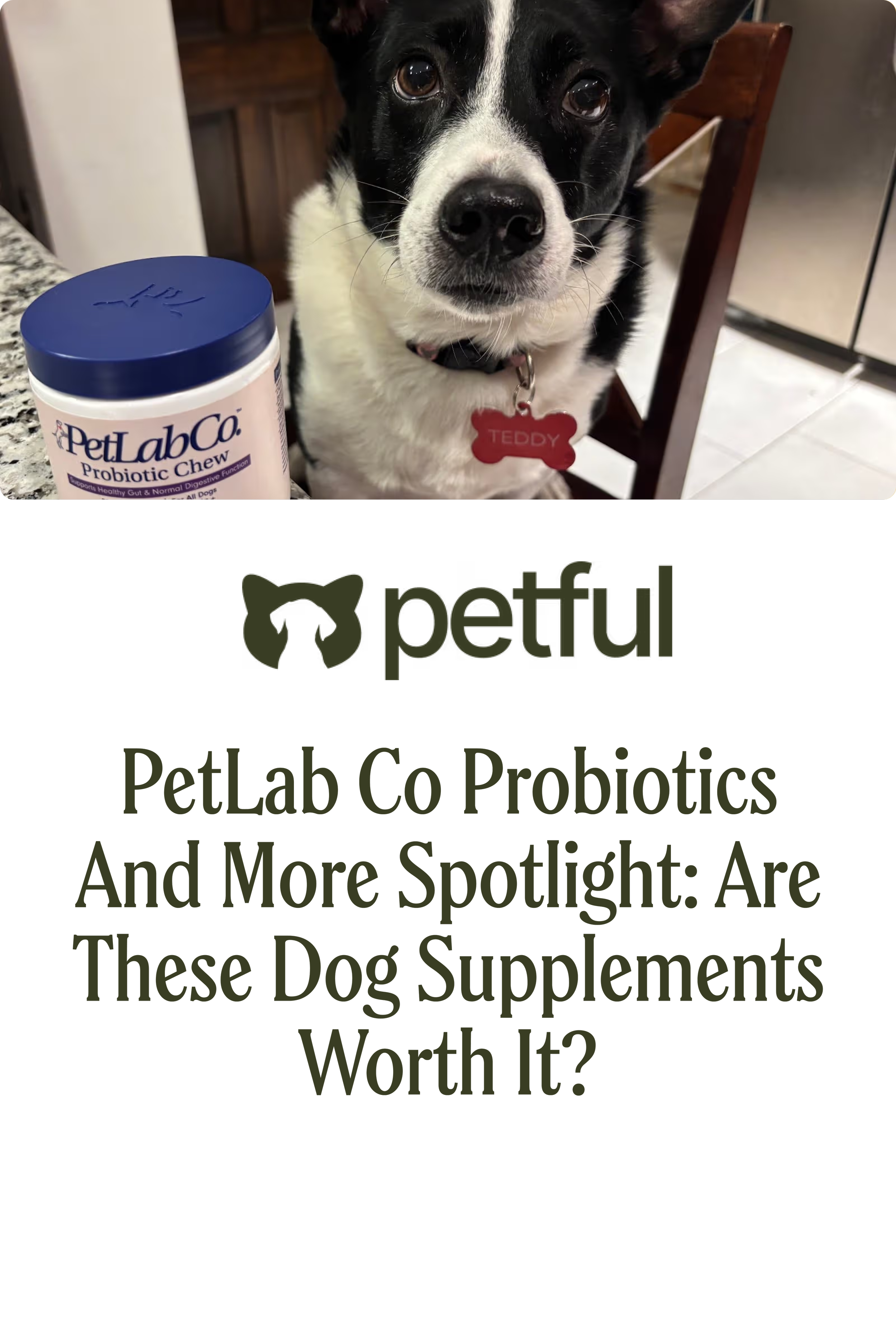 PetLab Co Probiotics and More Spotlight: Are These Dog Supplements Worth It?