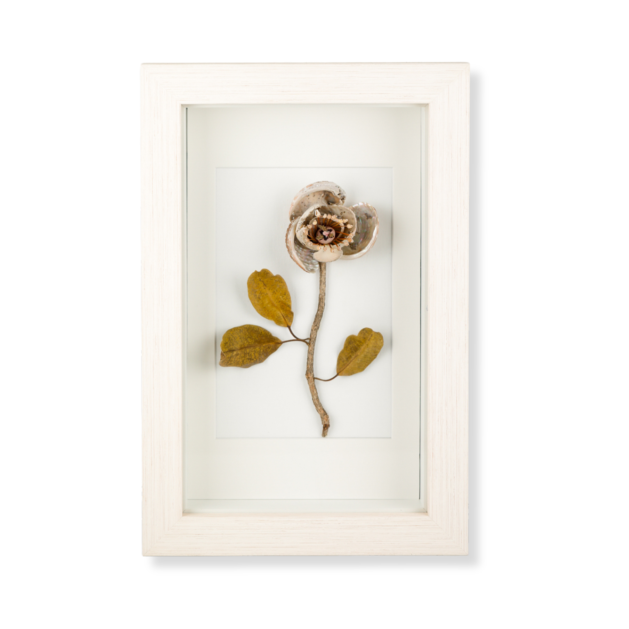 Framed mixed media sculpture artwork by Gai Saunders featuring natural botanical elements and found objects.