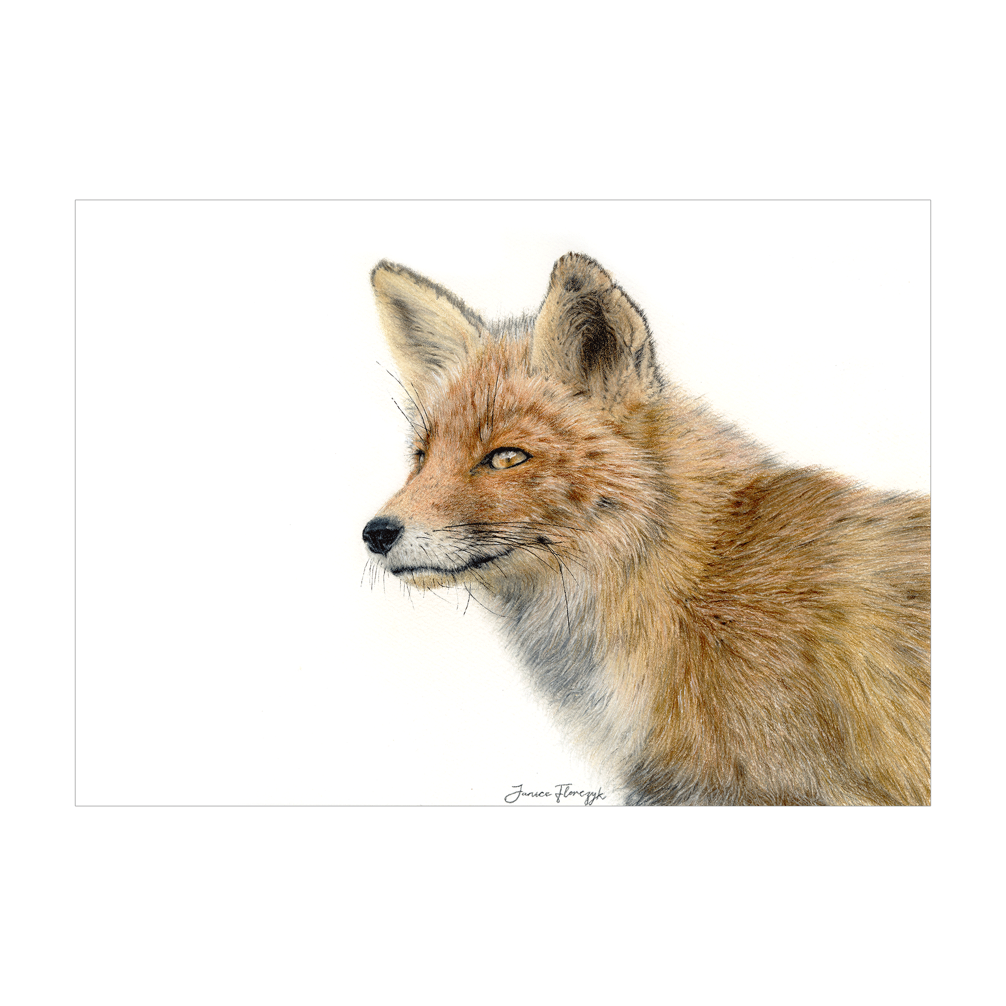 Fox