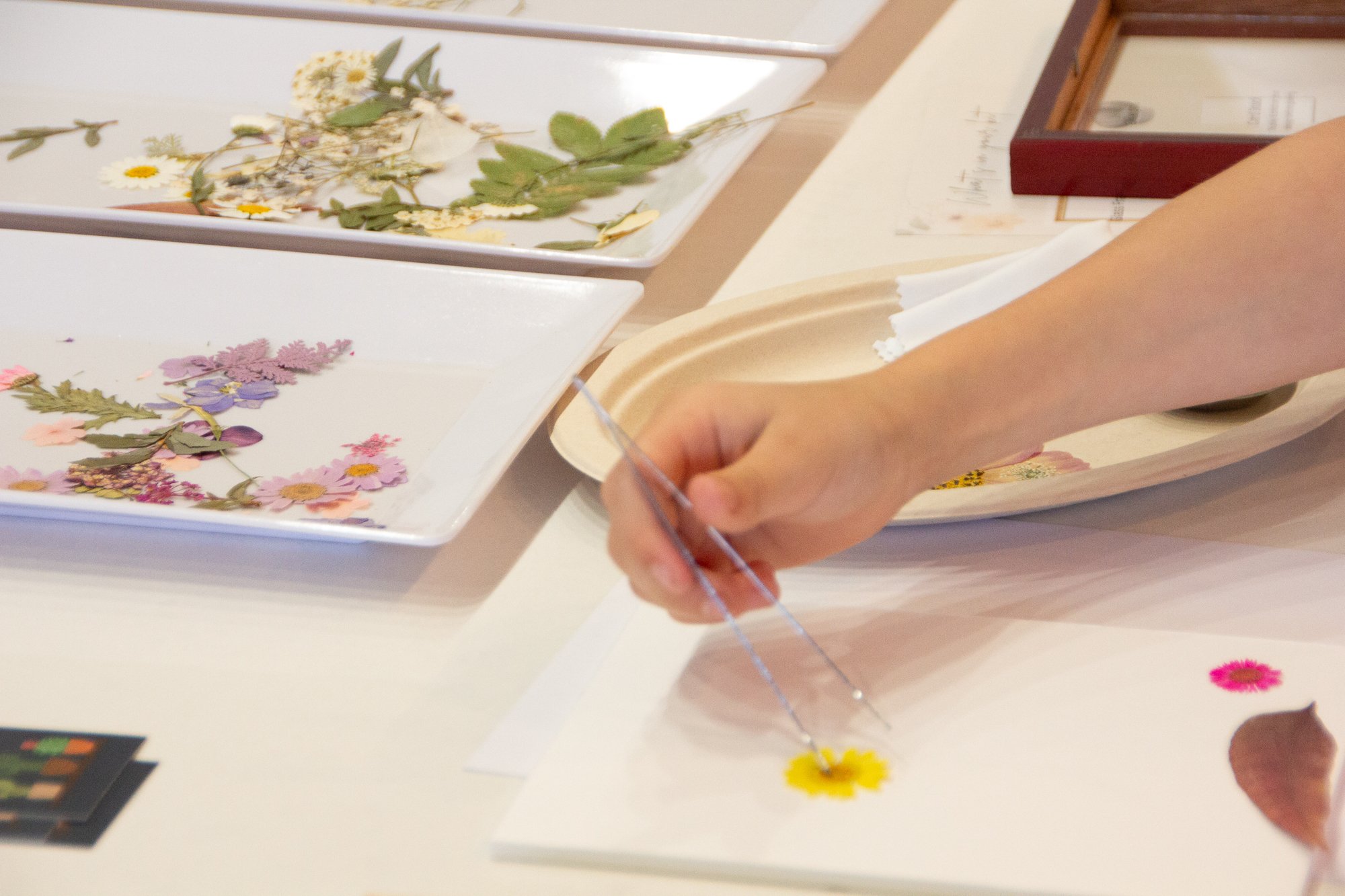 Framed Mothers Day Pop Up Event 2026-5-web.jpg
