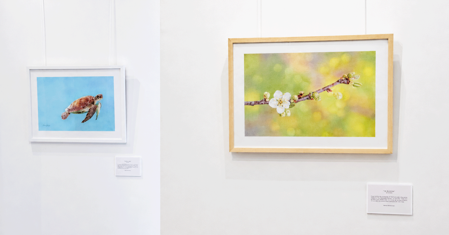 Janice Florczyk Featured Artist showcase at Framed in Bunbury