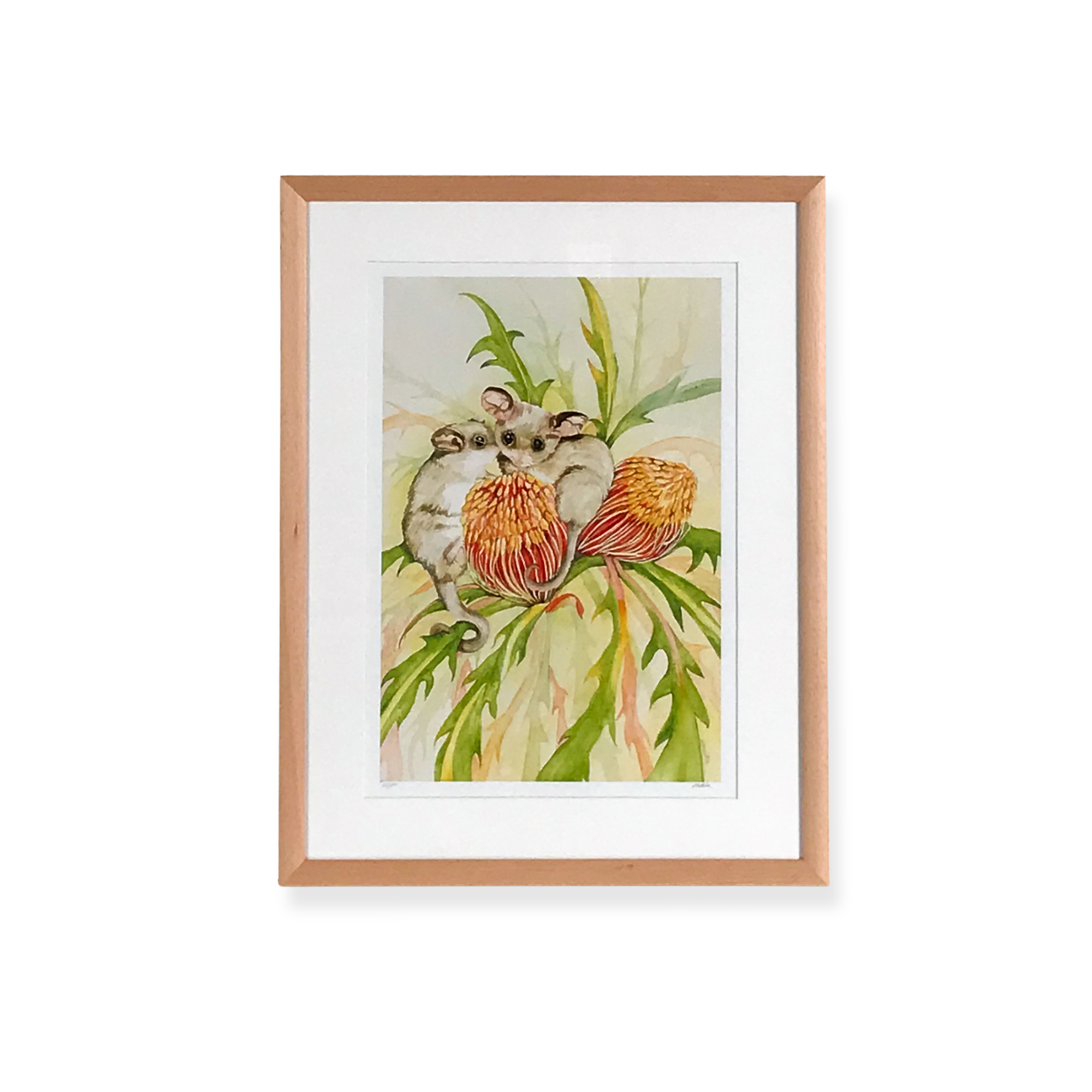 Framed botanical illustration featuring native flora and wildlife in a natural timber frame.