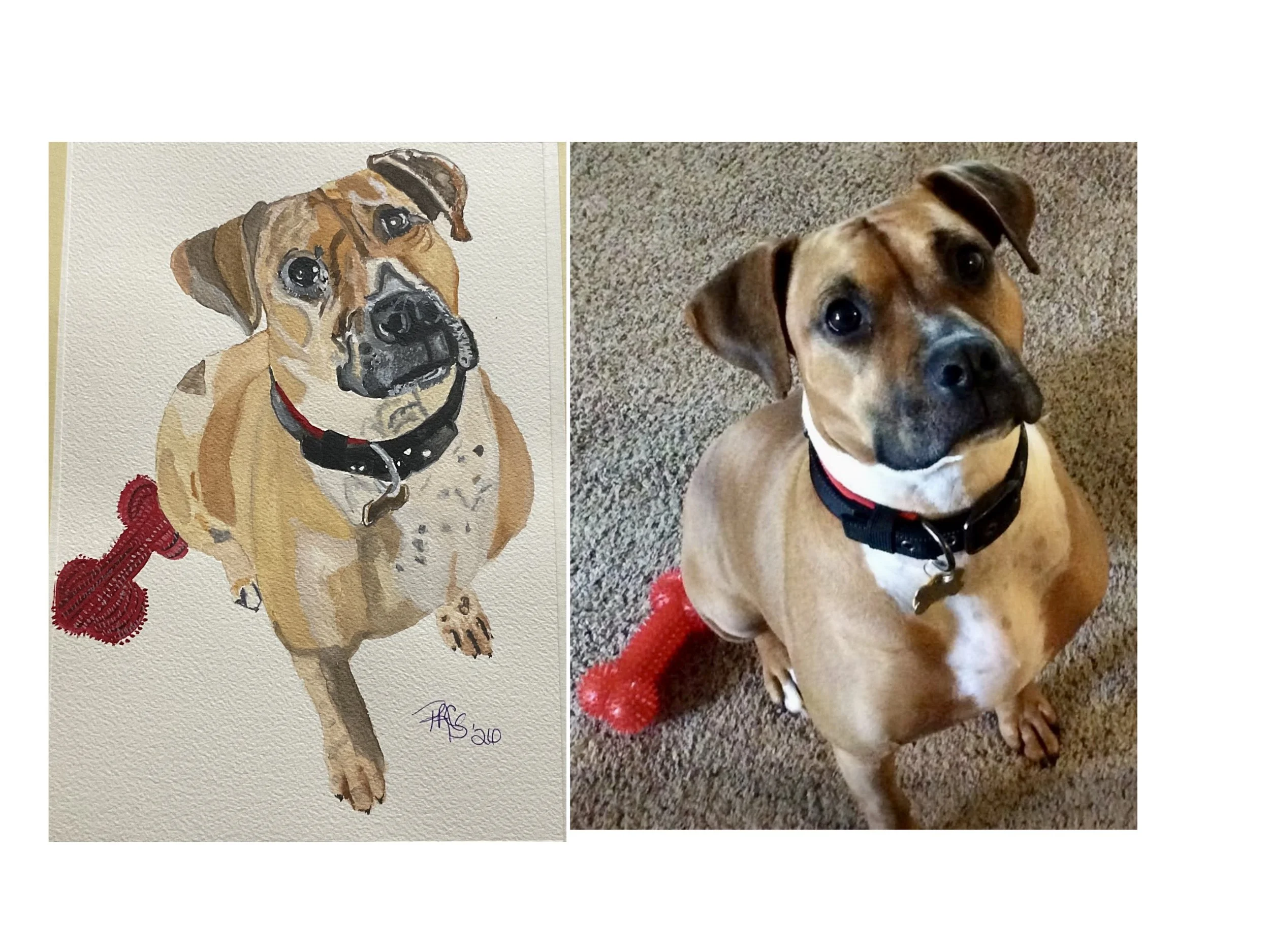 Comparison of a watercolor painting and a photograph of a tan and black dog with floppy ears, wearing a black collar, sitting on a carpet, with a red plush toy nearby.