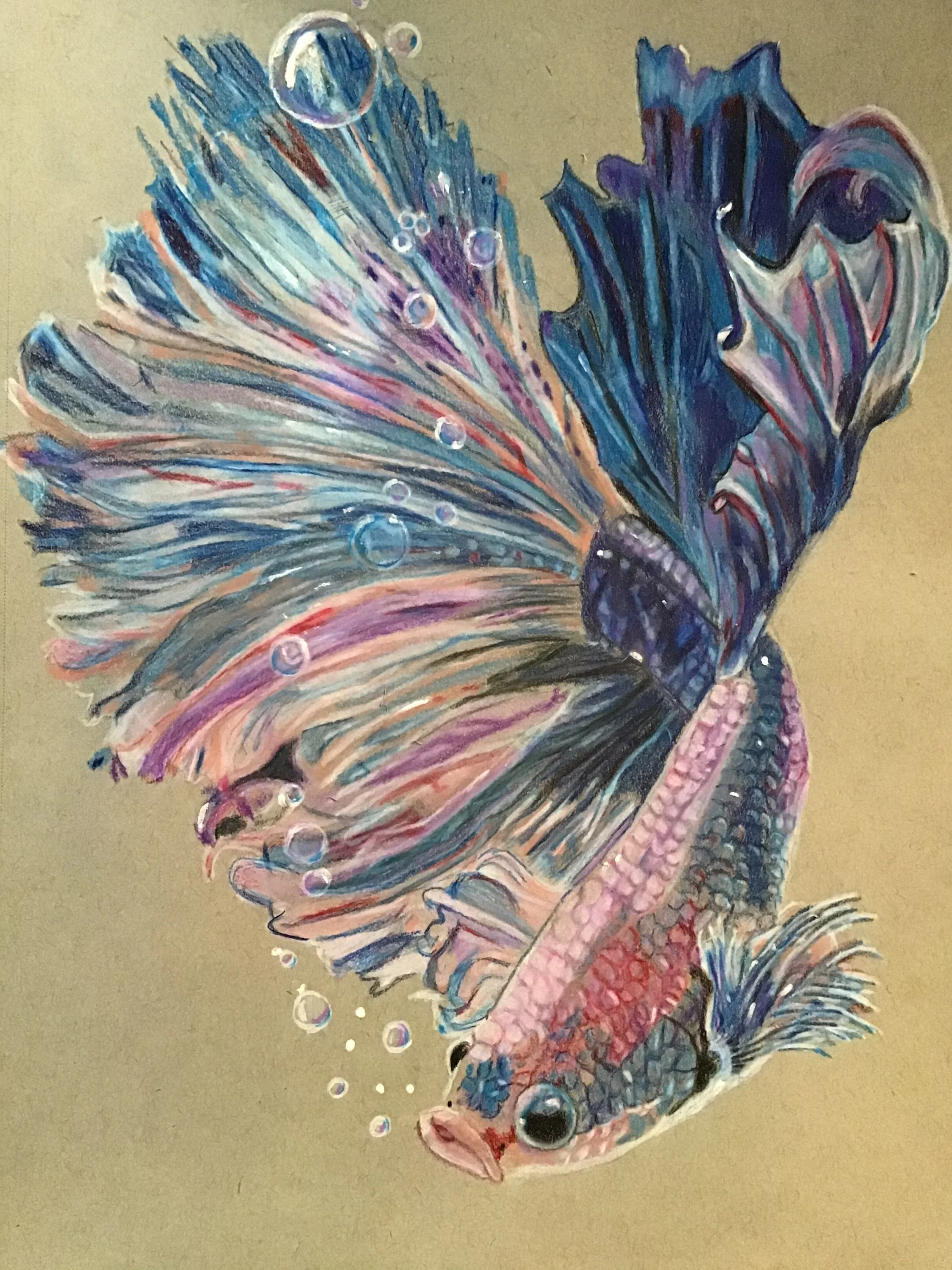 Color Pencil