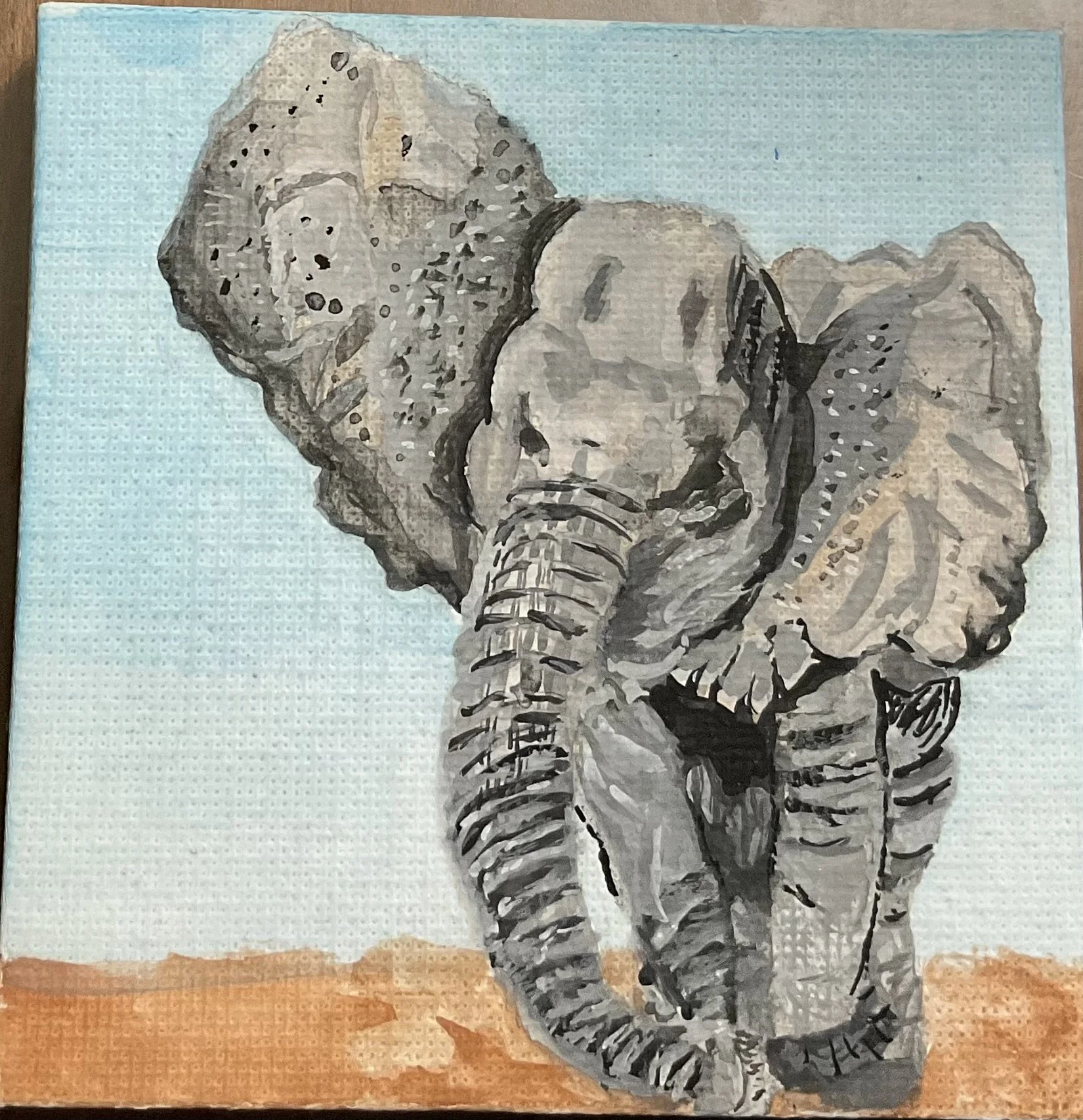 IMG_4322.jpeg