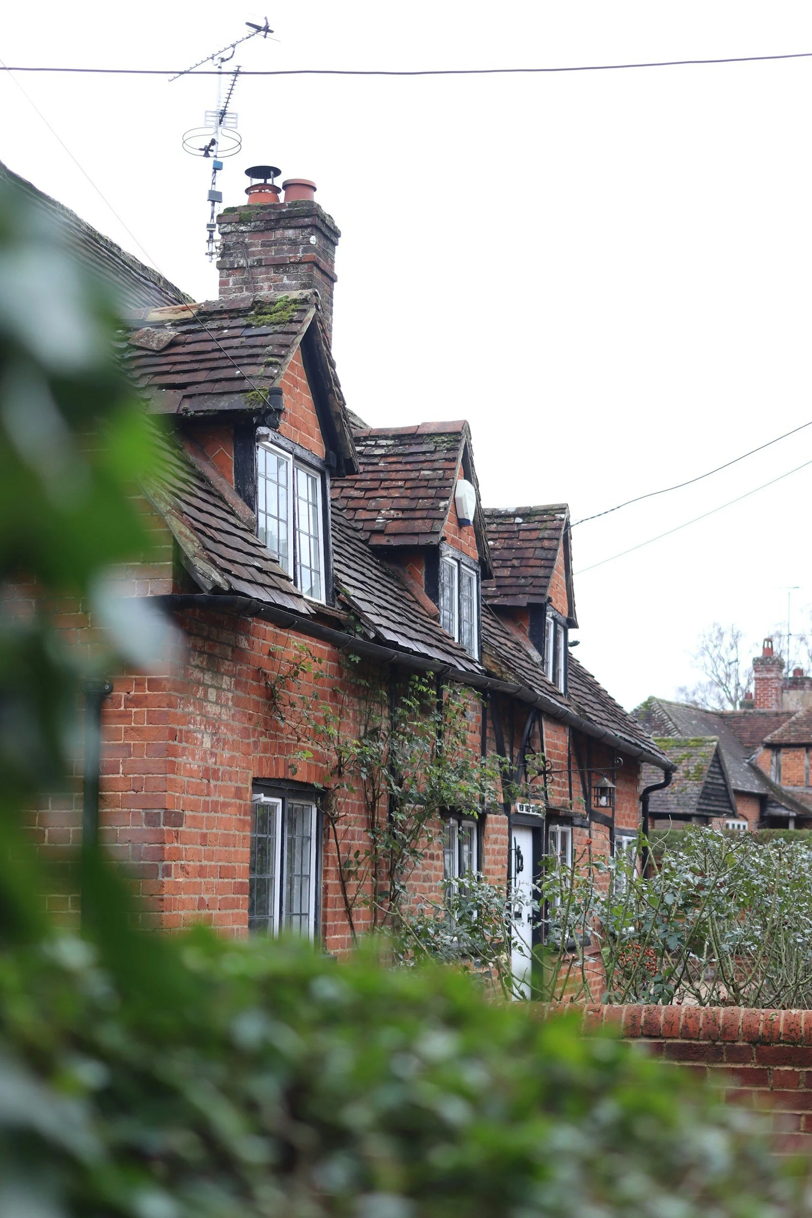 Brick house with multiple dormer windows, moss on the roof, and a chimney with an antenna, partially obscured by foliage in the foreground.