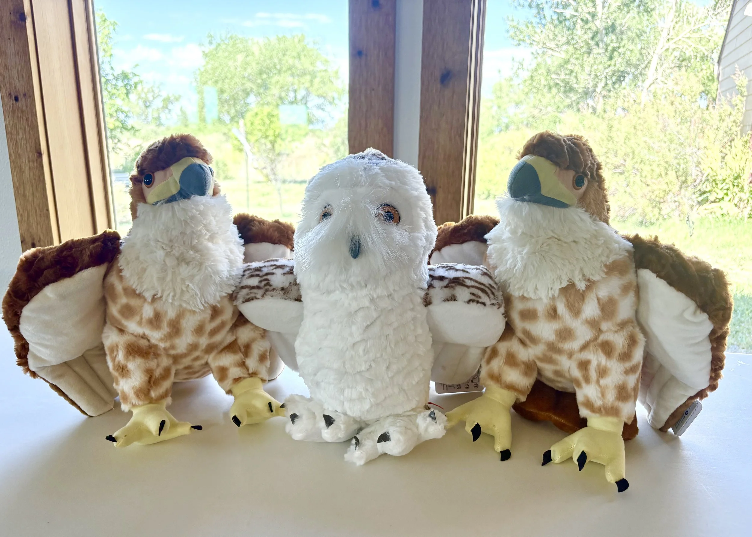 Stuffed animals at the nature center