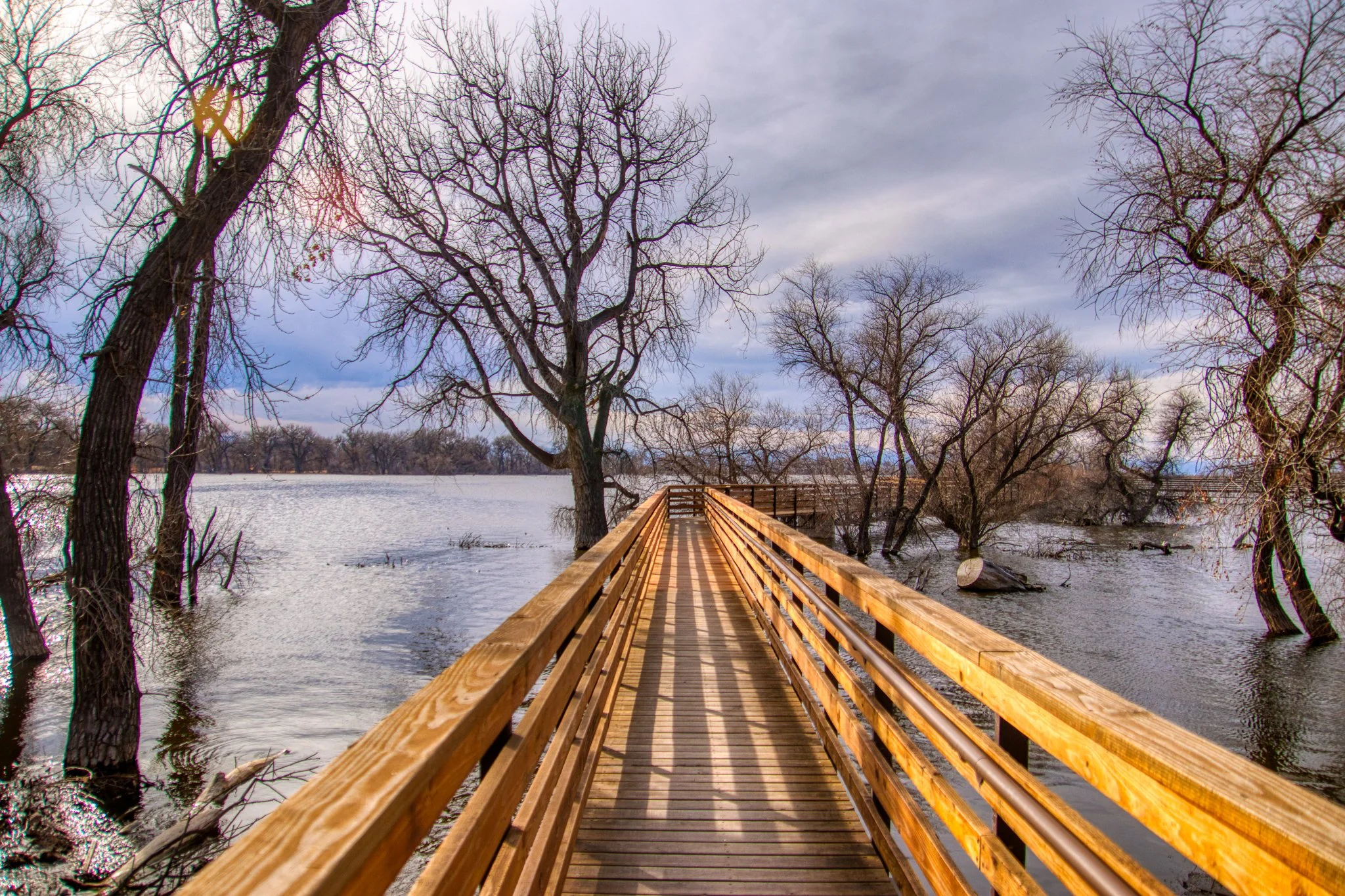 Barr Lake Boardwalk in Winter