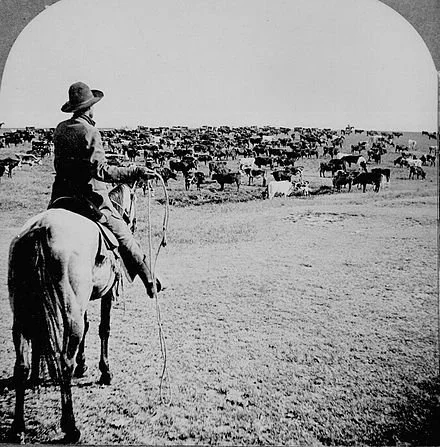 1800s Cattle Drive