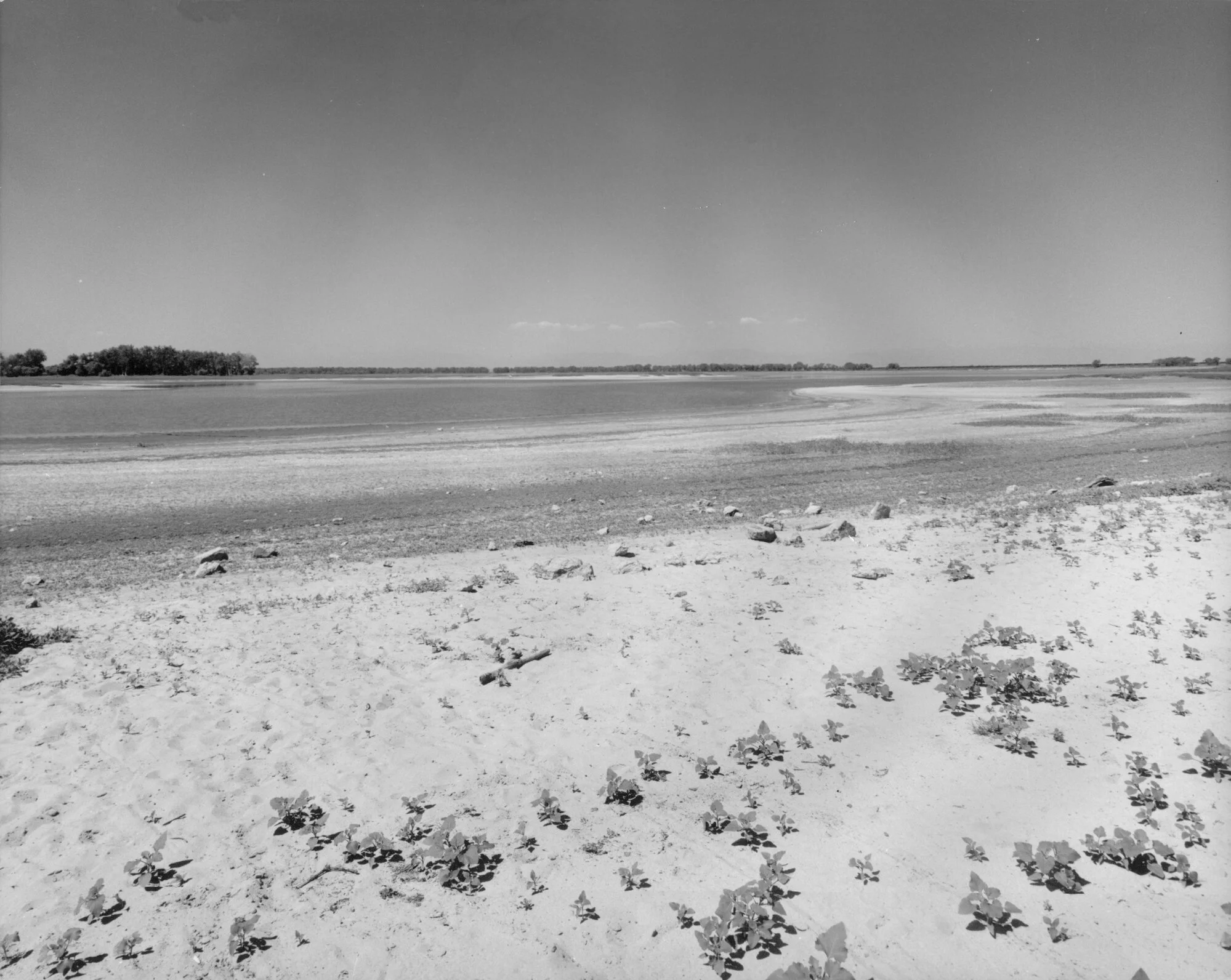 Barr Lake Foot Bridge 1975 - 1981