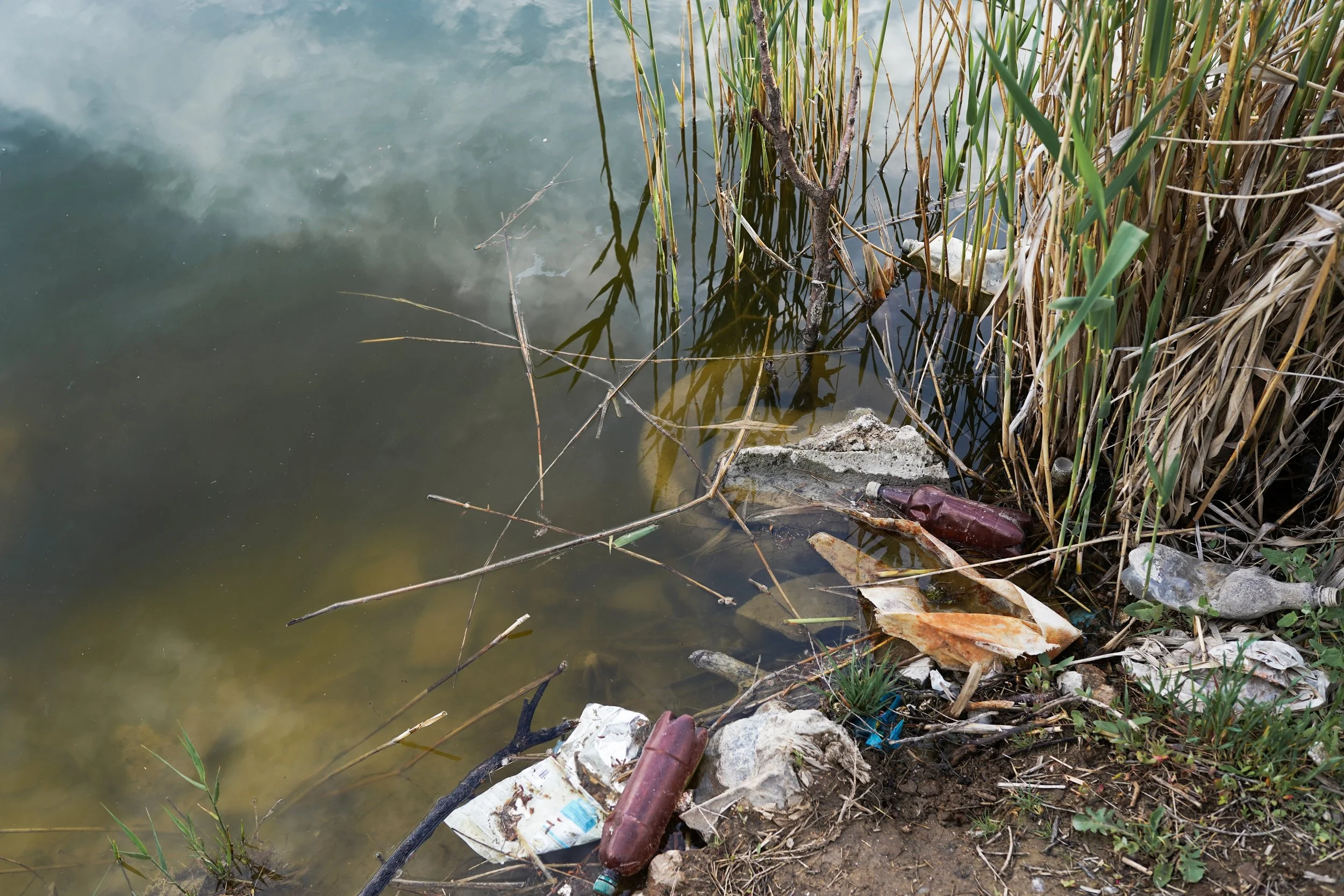 Polluted water with trash.