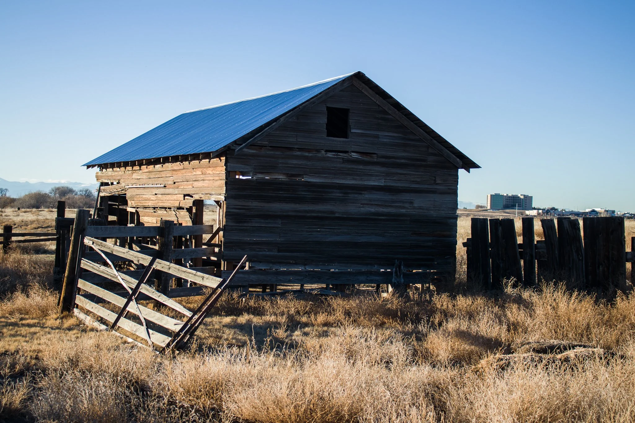 Bergman Barn