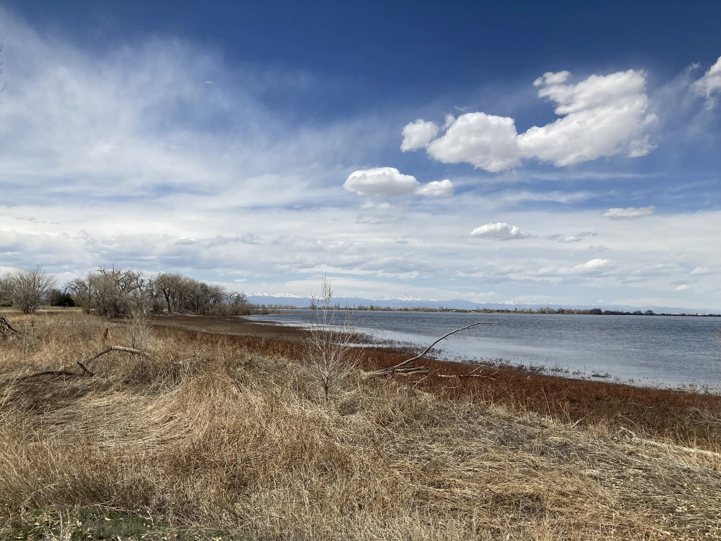 Barr Lake State Park in winter