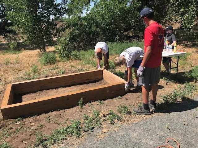 Sensory Gardens in progress