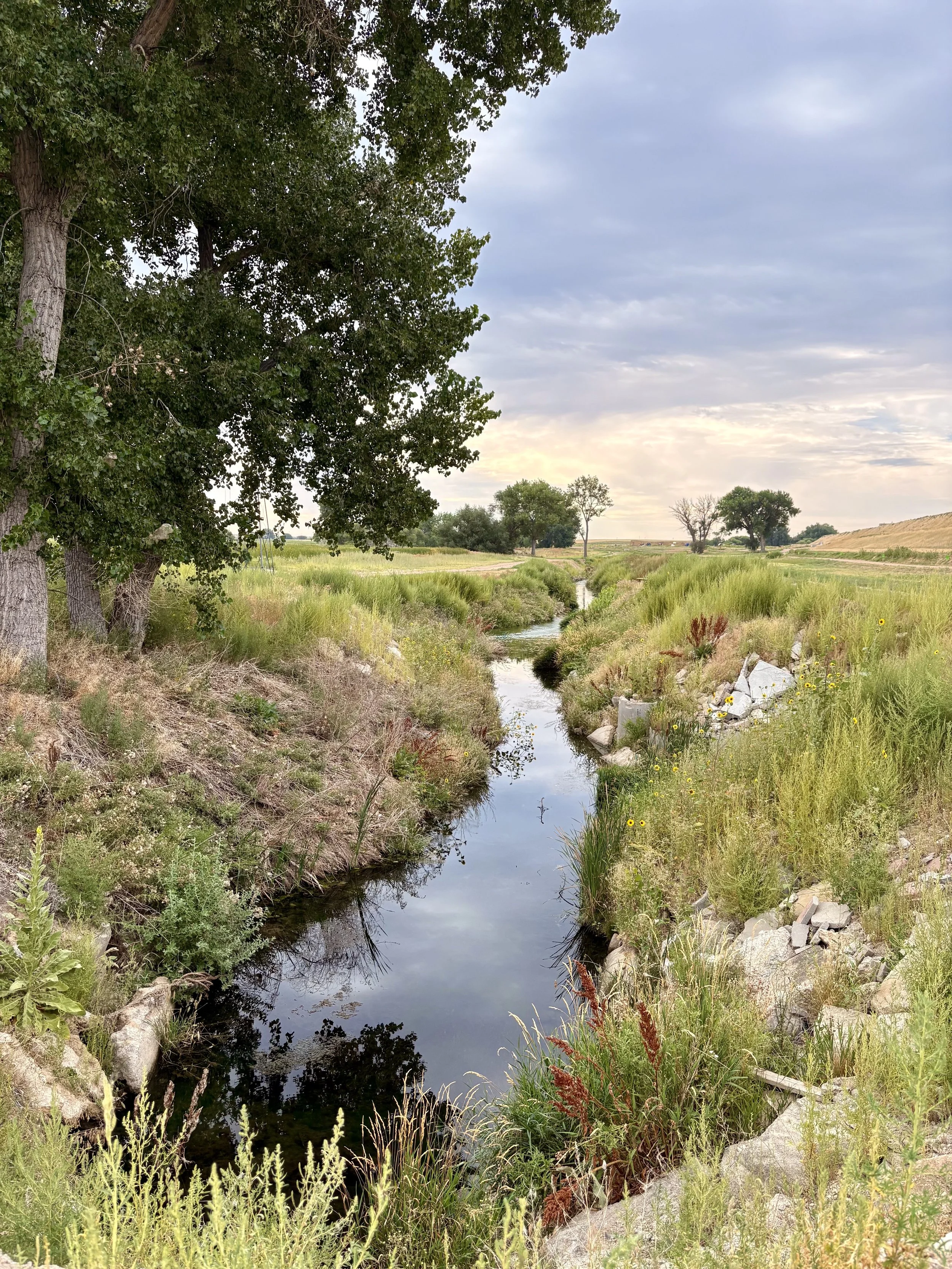 Stream at Barr Lake State Park