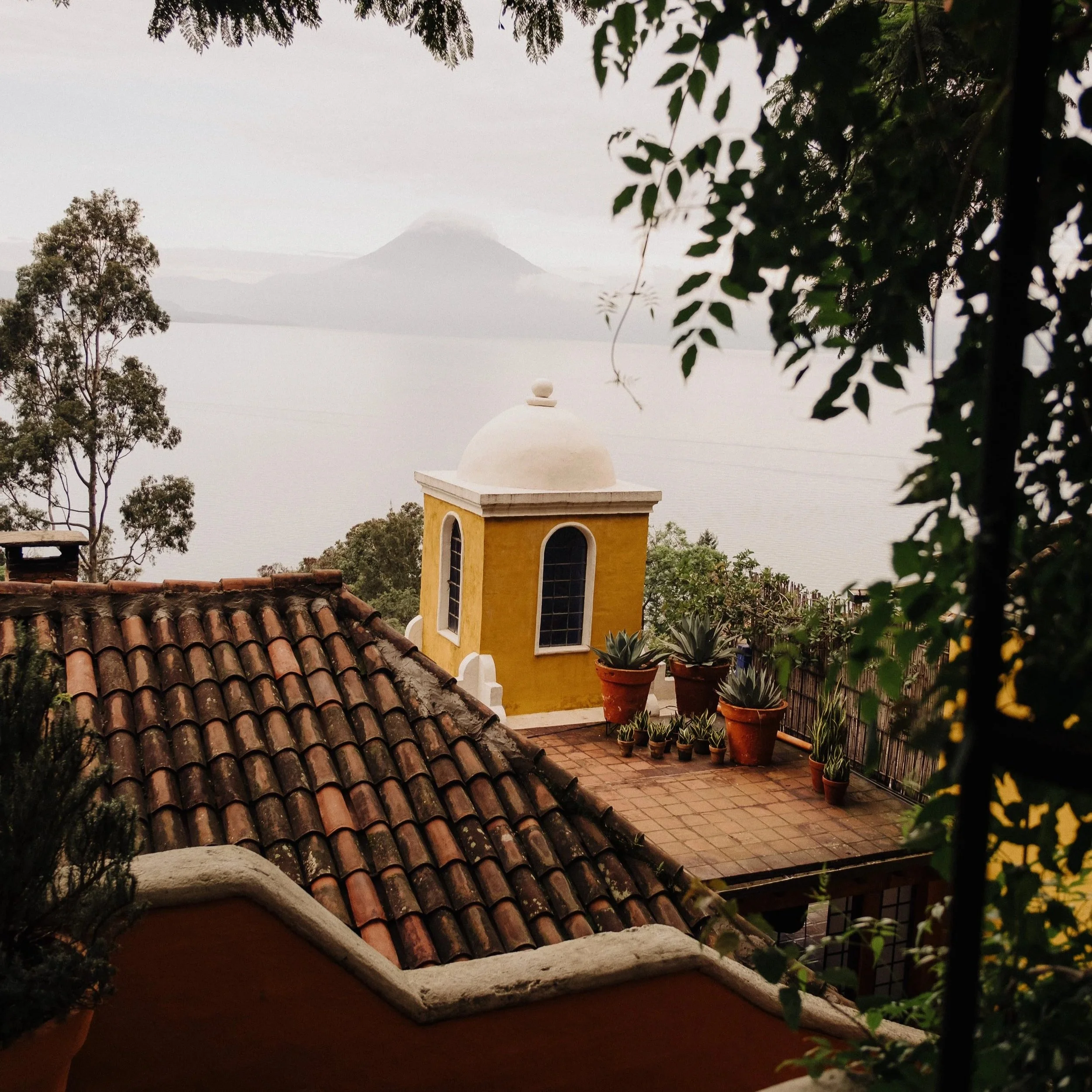 A rooftop view with clay tiles, a yellow building with windows, potted plants on a terrace, trees, and a mountain in the background under cloudy skies.