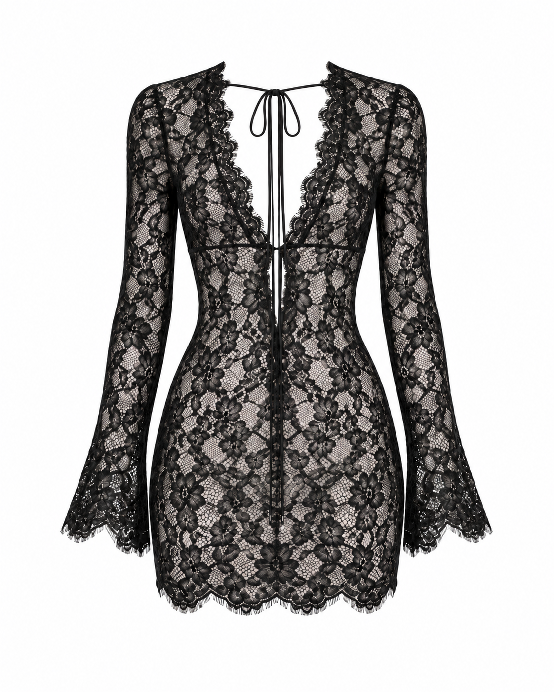 Sheer Black Floral Lace Mini Dress.png