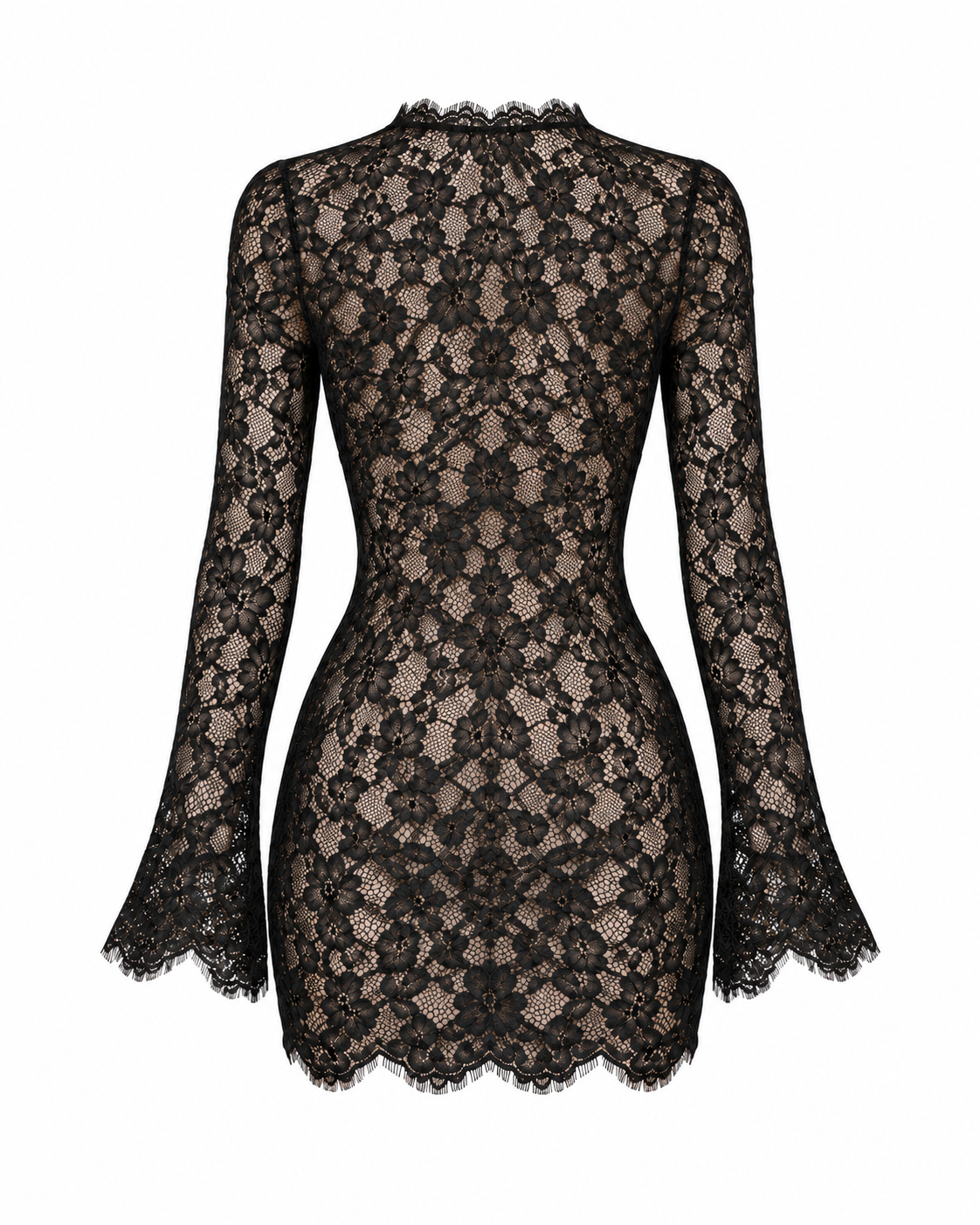 Sheer Black Lace Mini Dress Back View.png