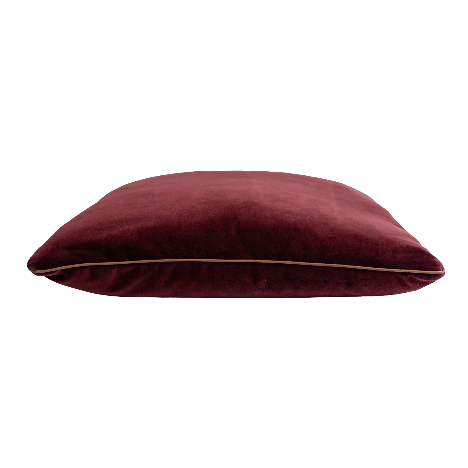 Ember+Reverie+Side (1) copy.png