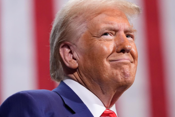 Politics and Pundits