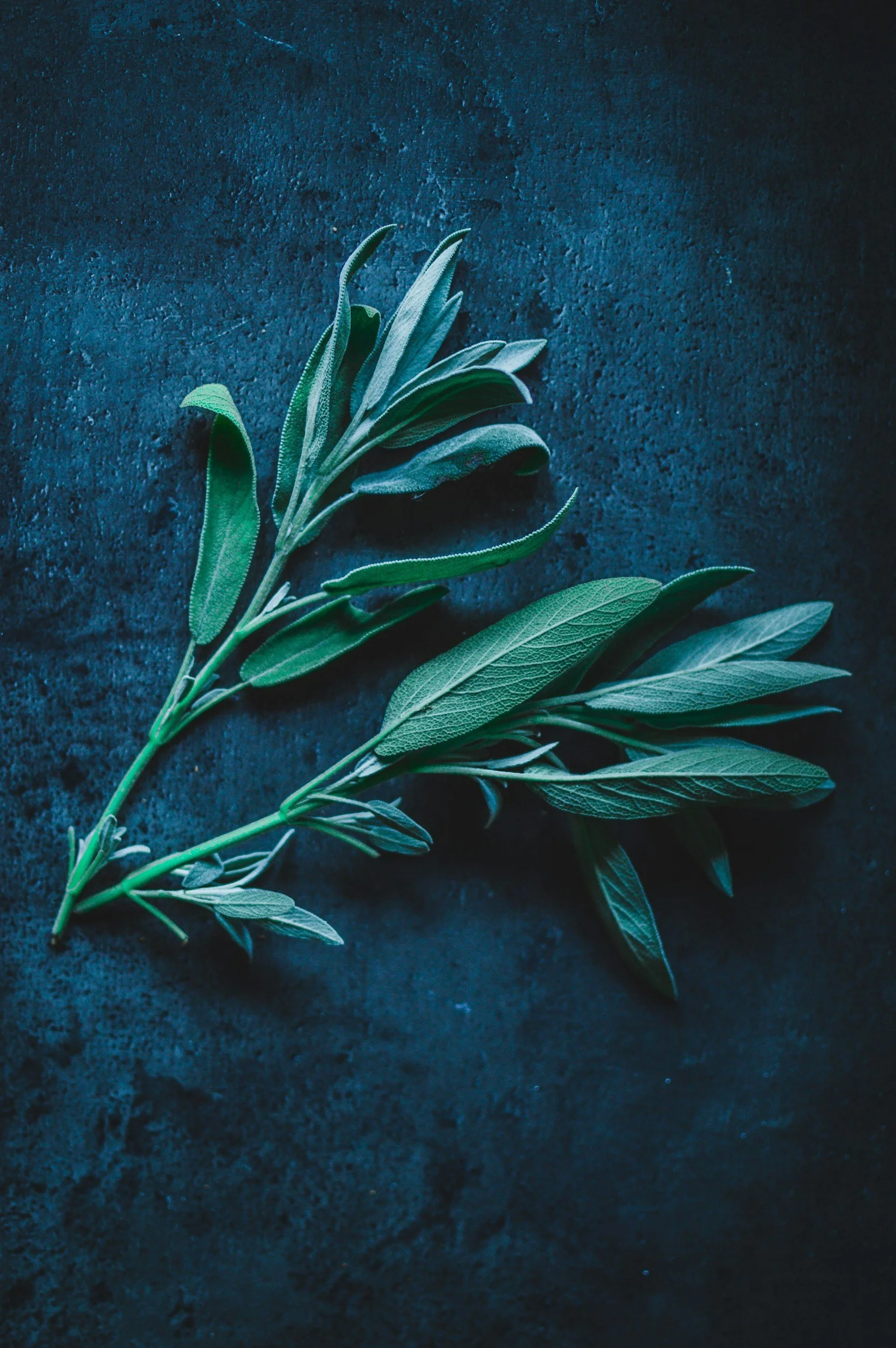 Reduce Depression | Sage Haven Therapy