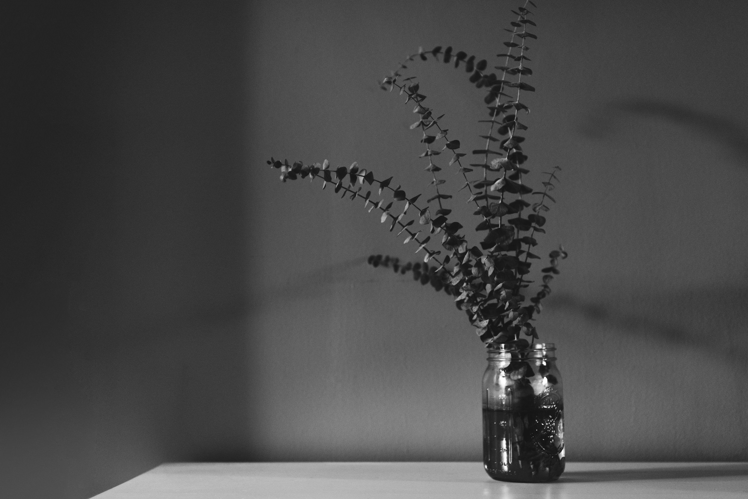 Family Therapy | Sage Haven Therapy