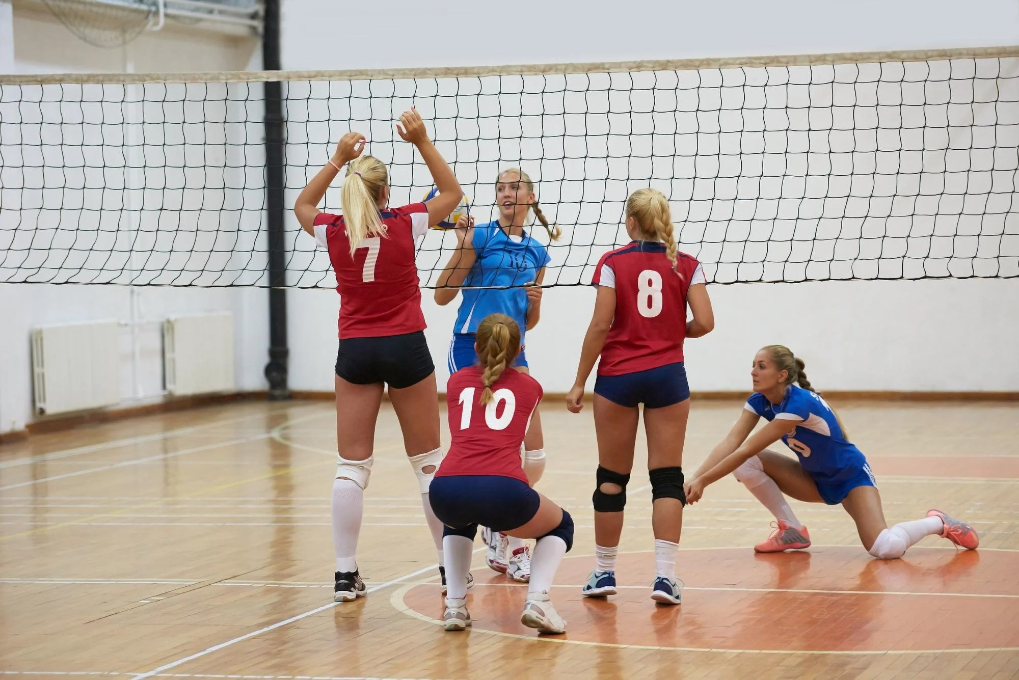 Indoor volleyball game with six young women on a gym court, some kneeling and some standing, with a net in the background. Two players in red jerseys with numbers 7 and 8 are standing, and a player in a blue jersey is talking with others.