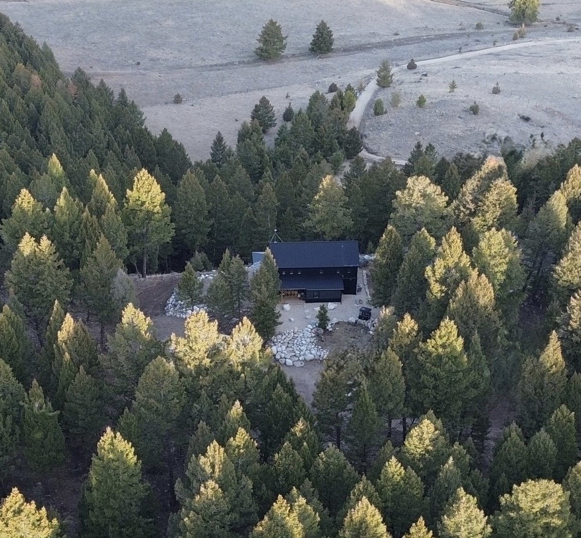 Montana home tucked into heavy conifer forest with thinned, limbed trees and a maintained defensible-space buffer around the structure