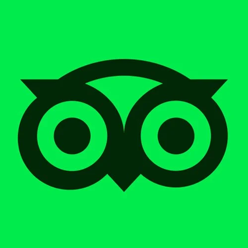 Logo de un búho en negro sobre fondo verde.