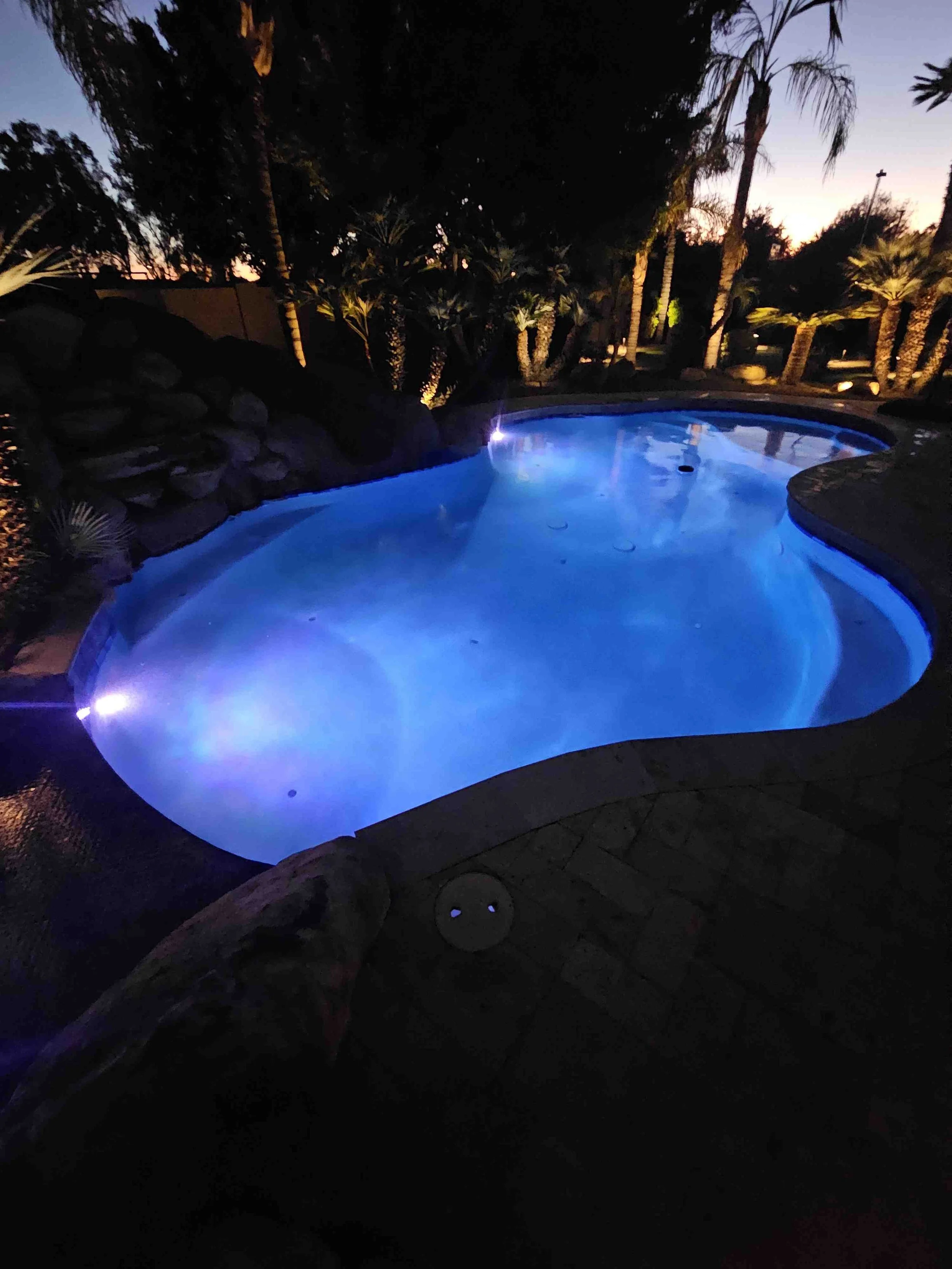 Nighttime view of a backyard with a swimming pool illuminated in blue, surrounded by palm trees and plants, with some landscape lights on in the background.