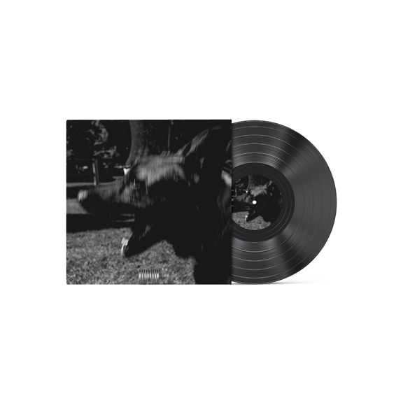 LP & CD PROJECT