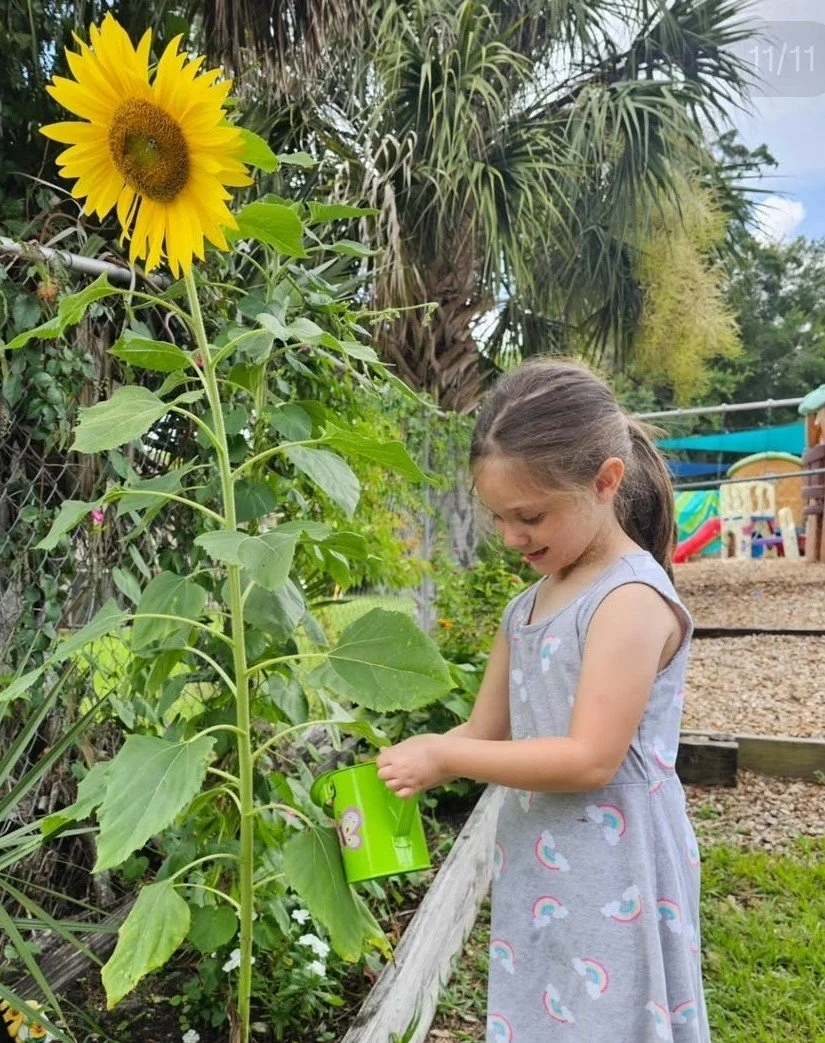 Foto Girasol.jpg