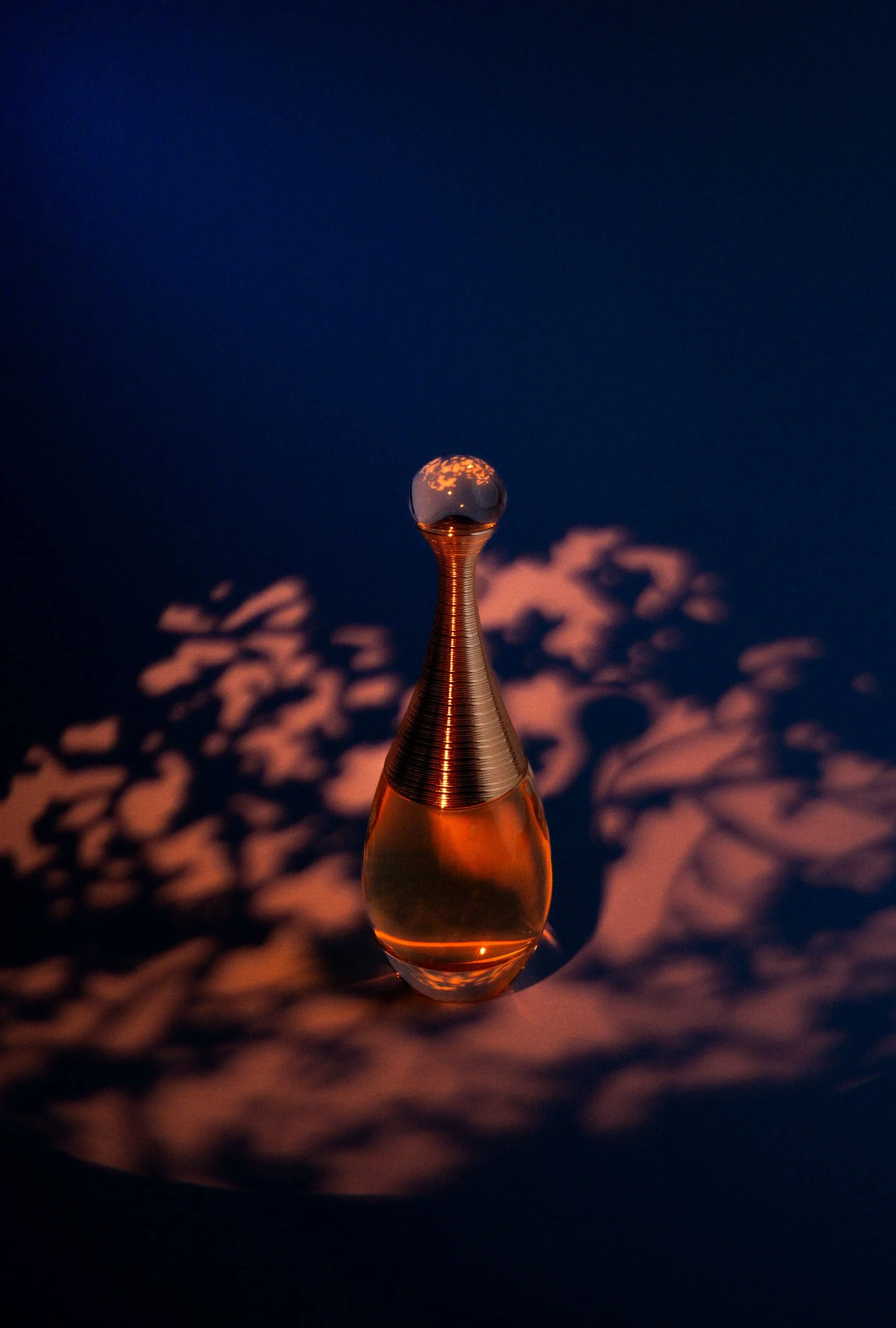 AR502227.jpg