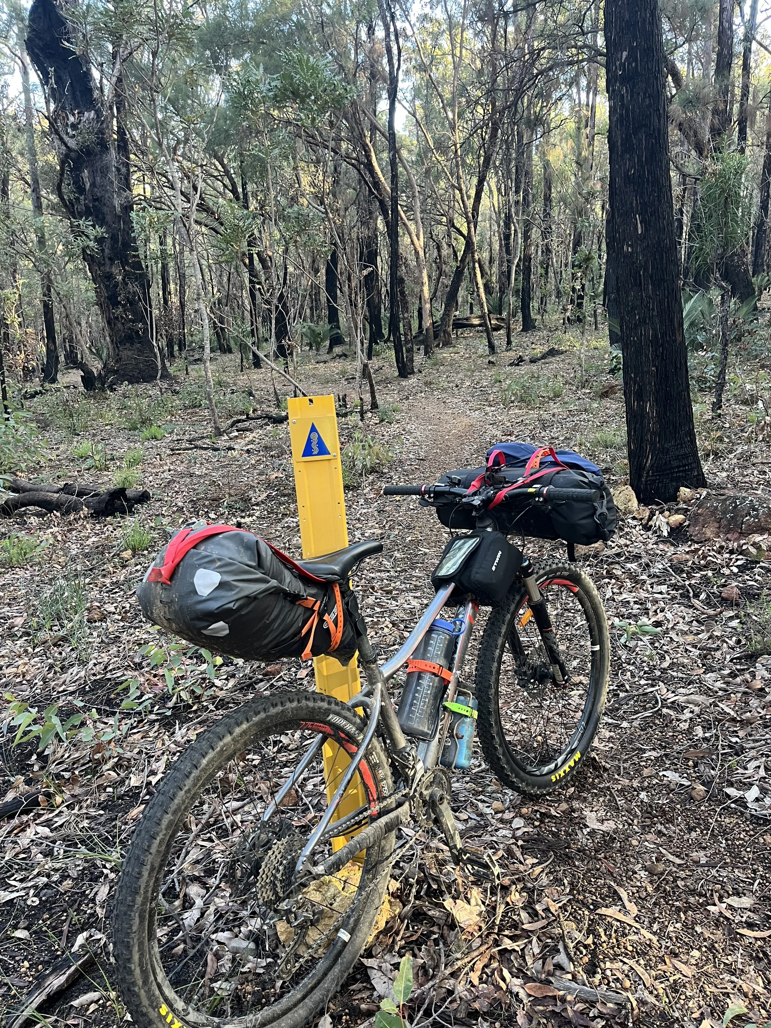 Munda Biddi Bikepacking