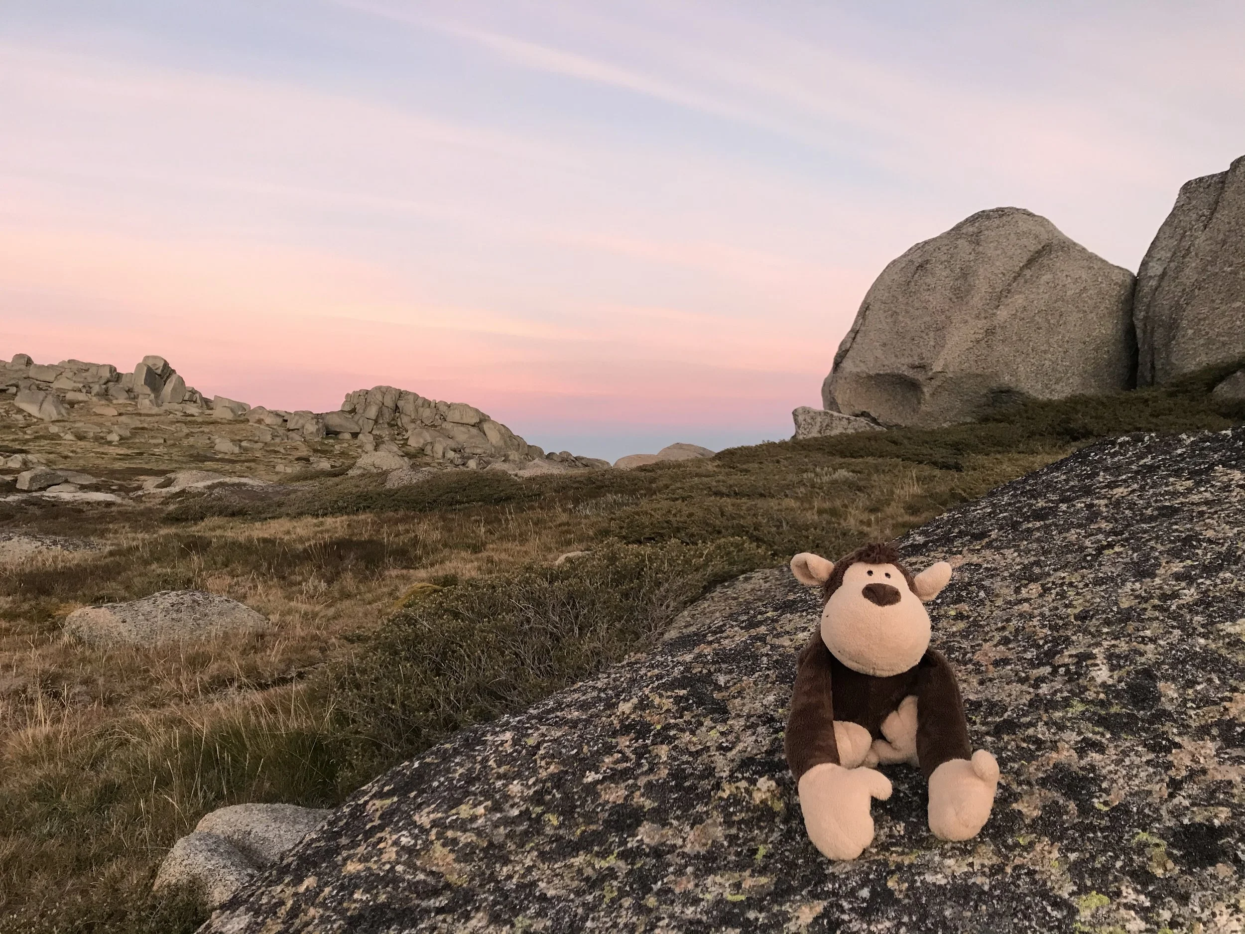 Kosciuszko to Kiandra Hiking